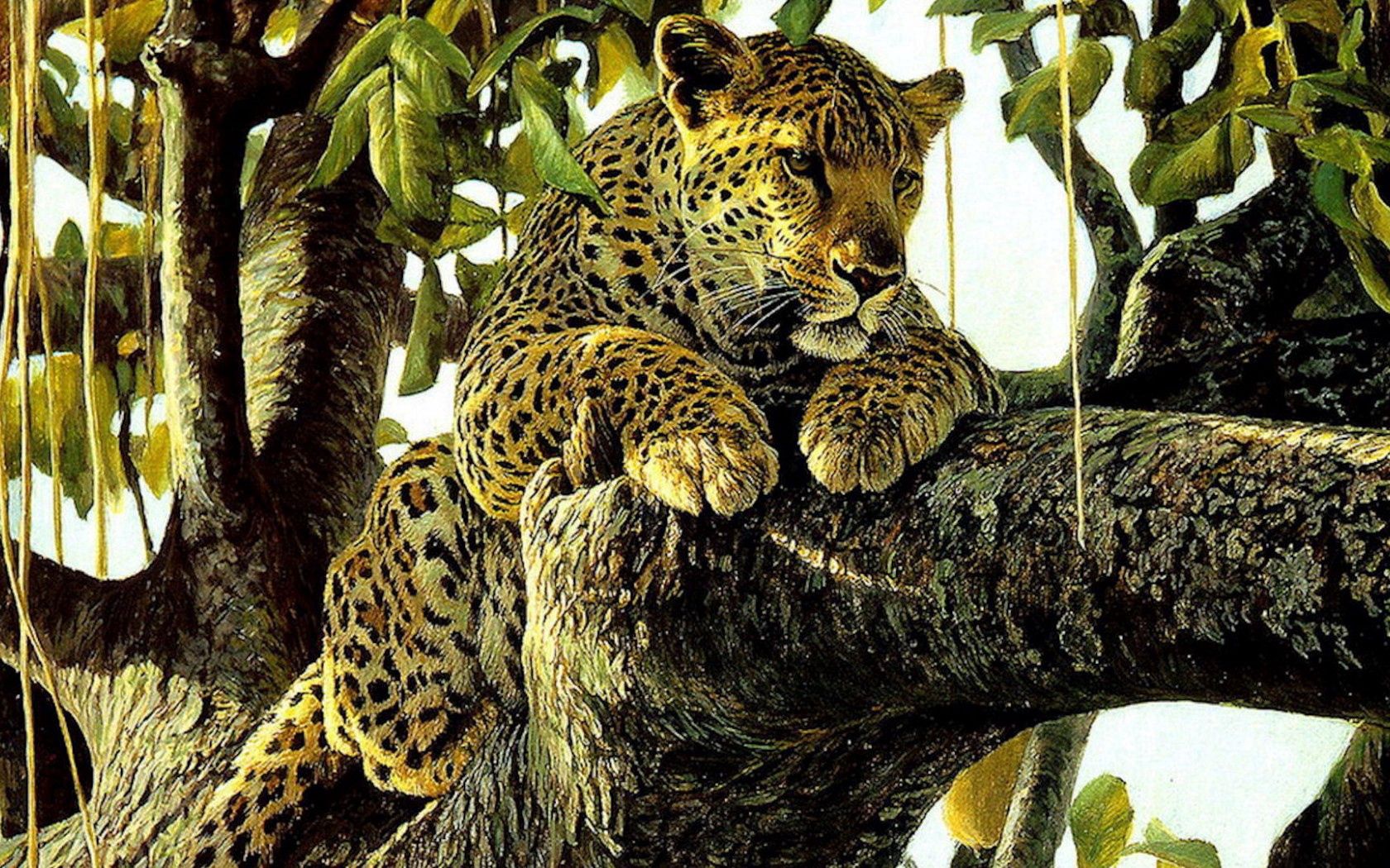 141497 Hintergrundbild herunterladen zeichnung, tiere, kunst, leopard, bild, raubtier, predator - Bildschirmschoner und Bilder kostenlos