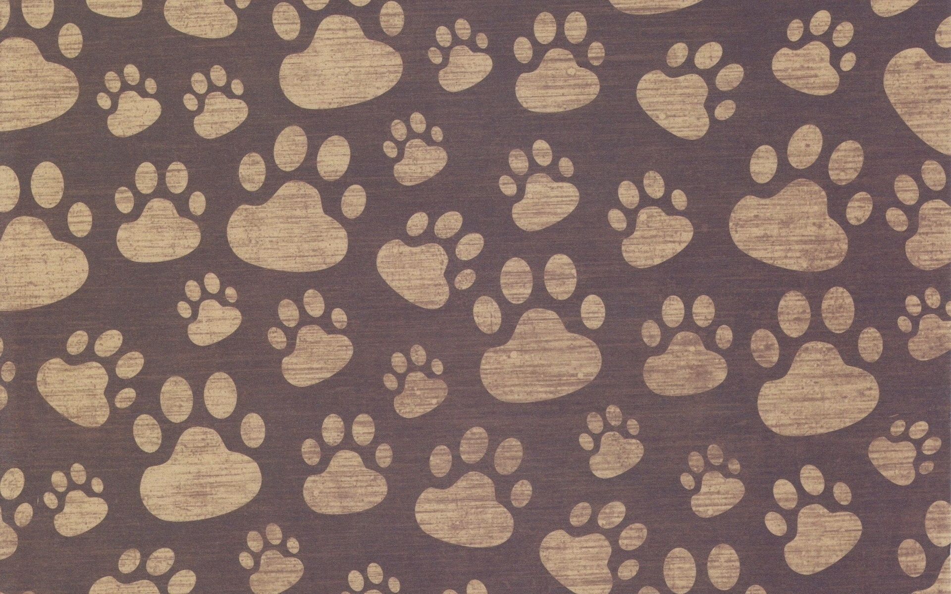 wallpapers picture, background, texture, textures, surface, drawing, paws, imprint