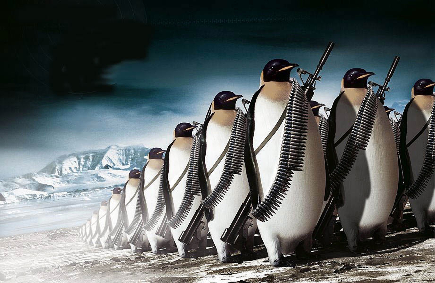 1514390 descargar fondo de pantalla militar, pingüino, otro, hielo, nieve: protectores de pantalla e imágenes gratis