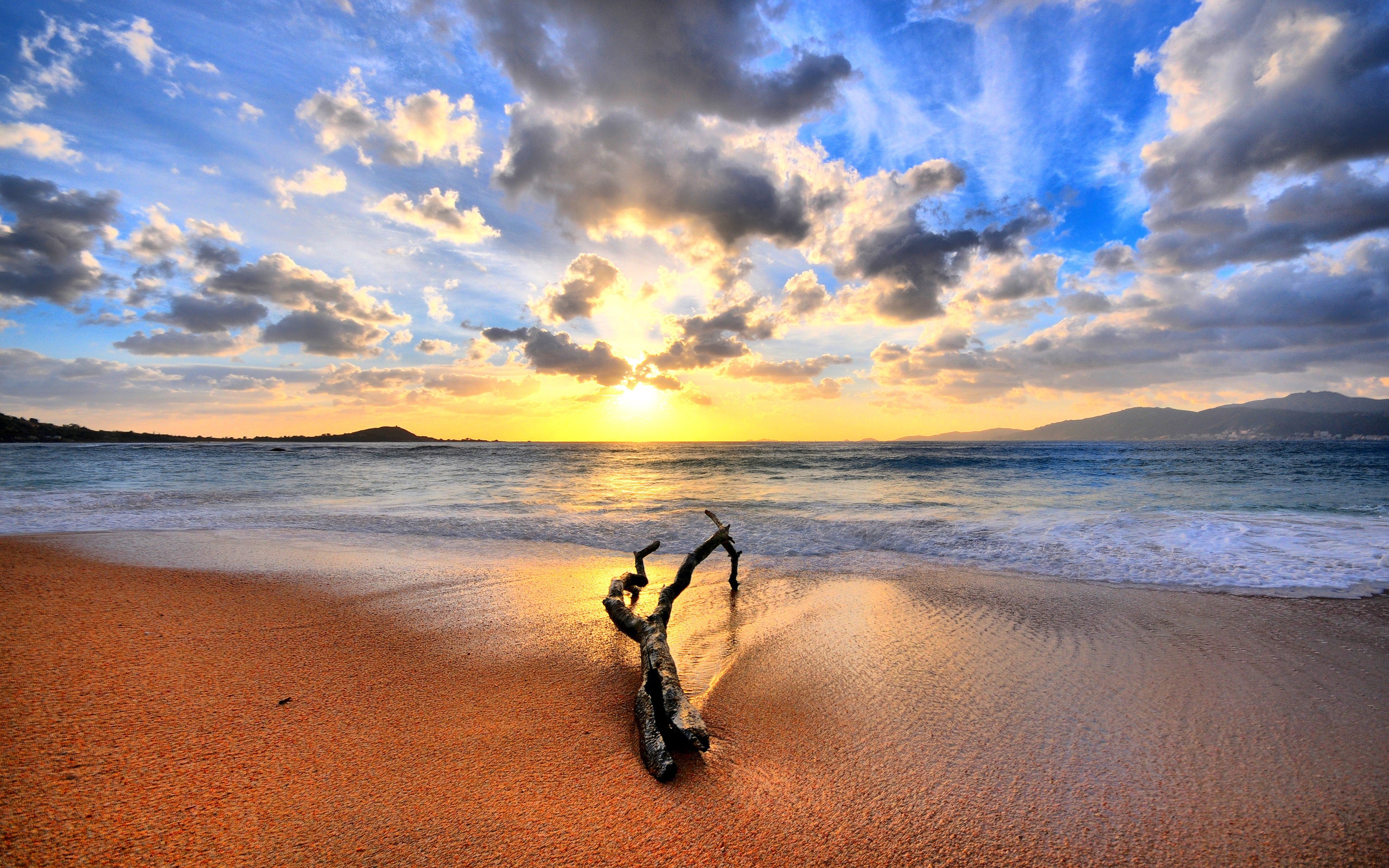 sunset, landscape, beach phone background
