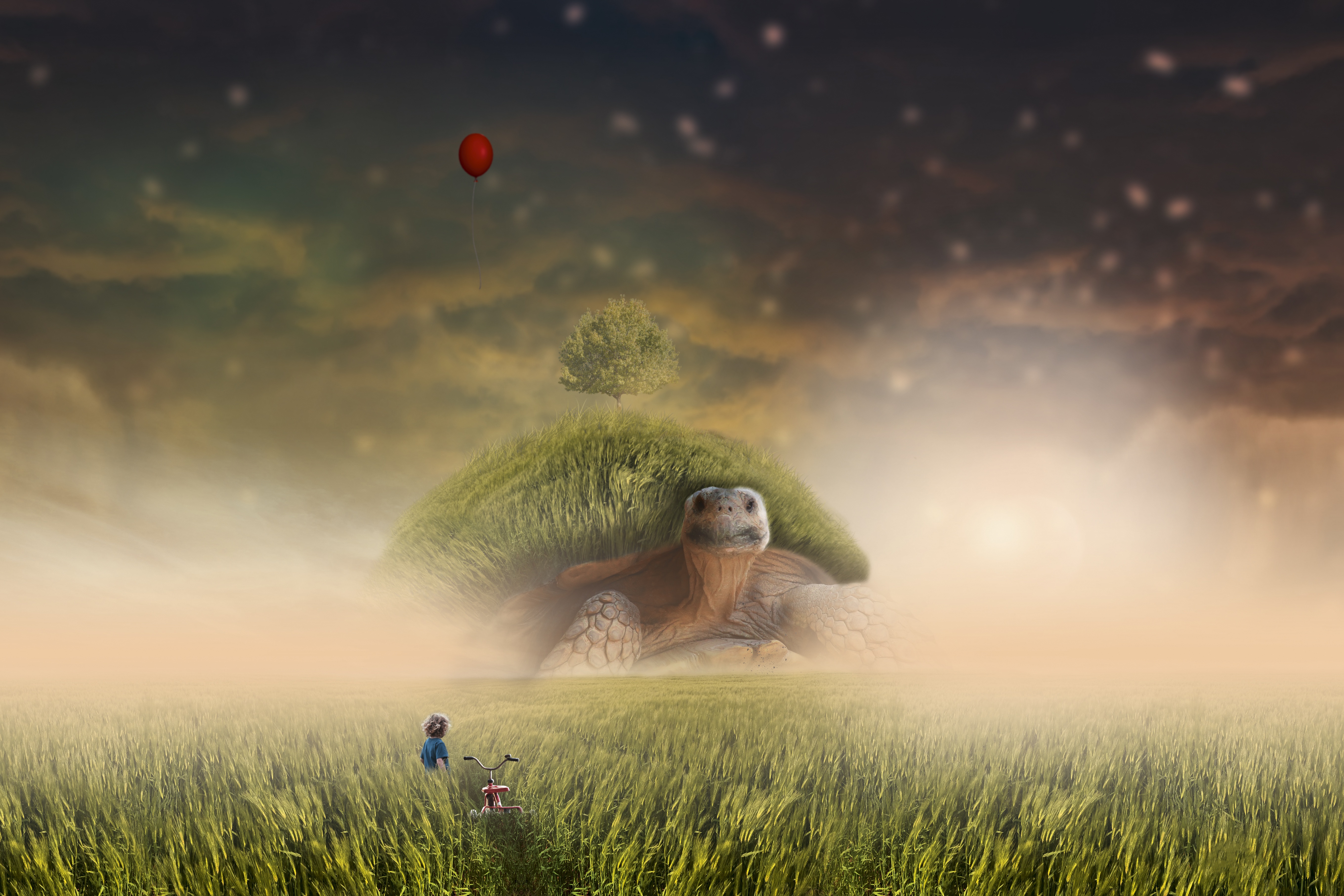 turtle, grass, bicycle, field, photoshop, child, art images