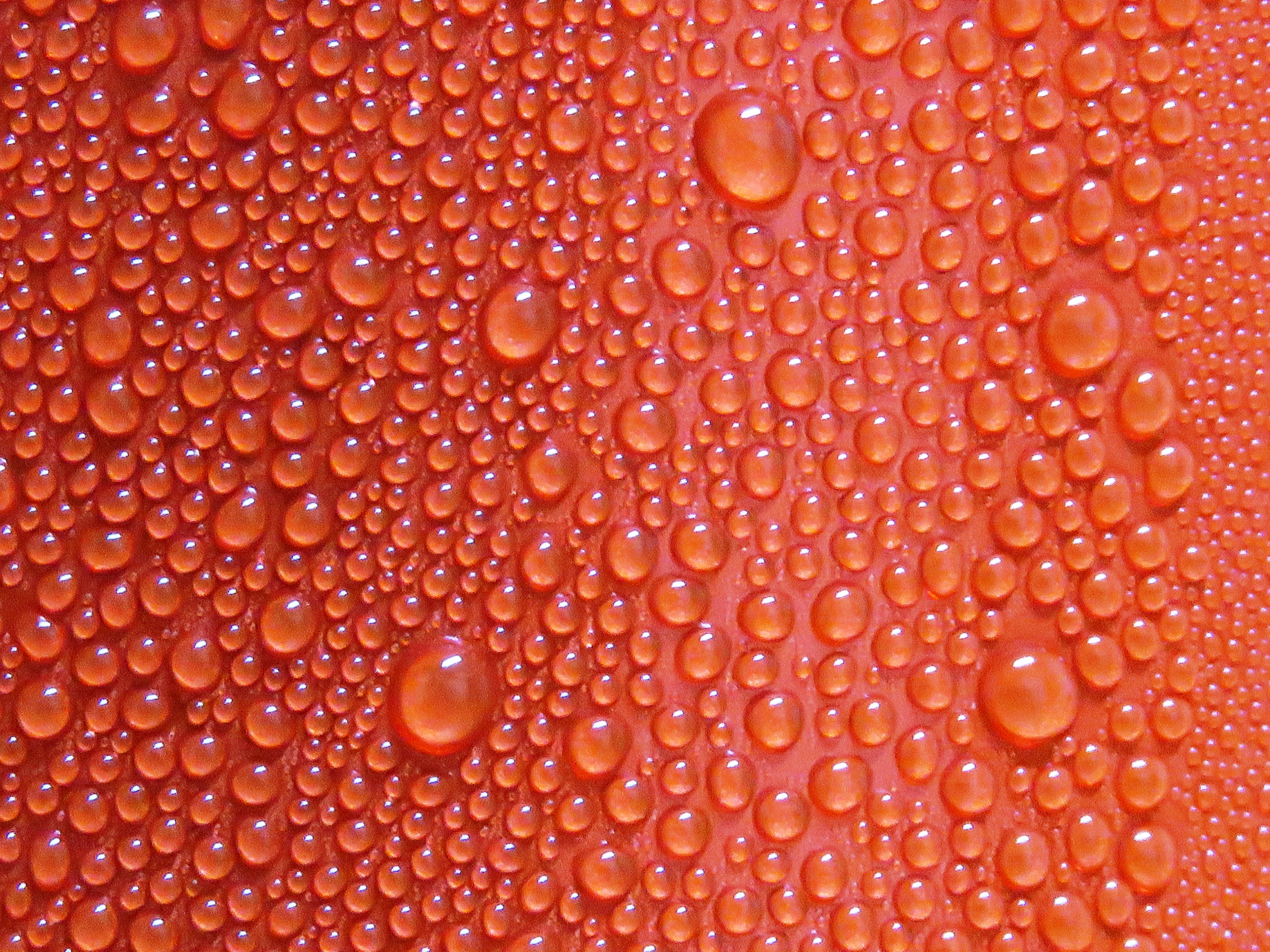 drops, texture, textures, surface Free Stock Photo