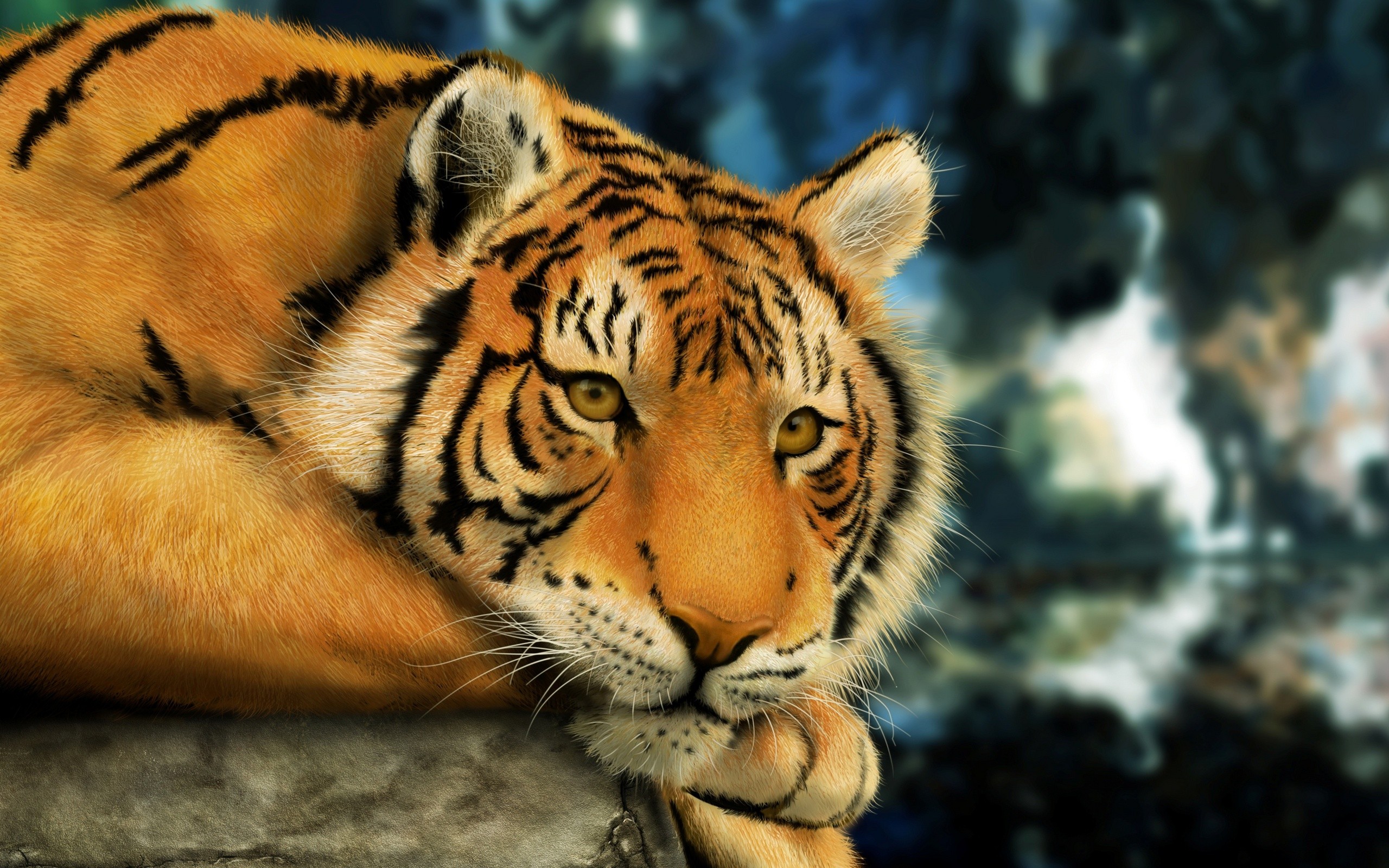 Tiger  4k Wallpaper