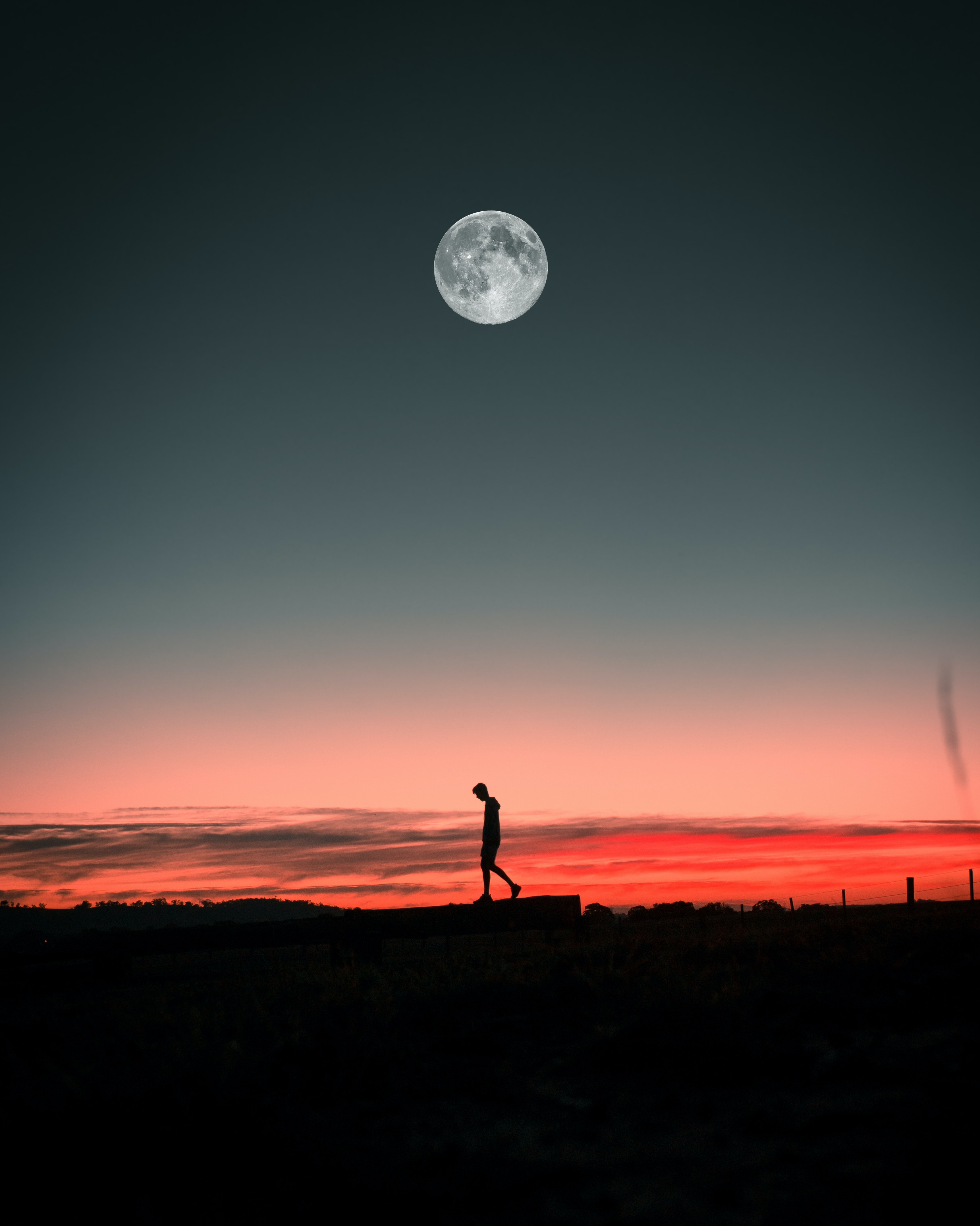 alone, moon, sunset, silhouette, miscellanea, miscellaneous, loneliness, lonely