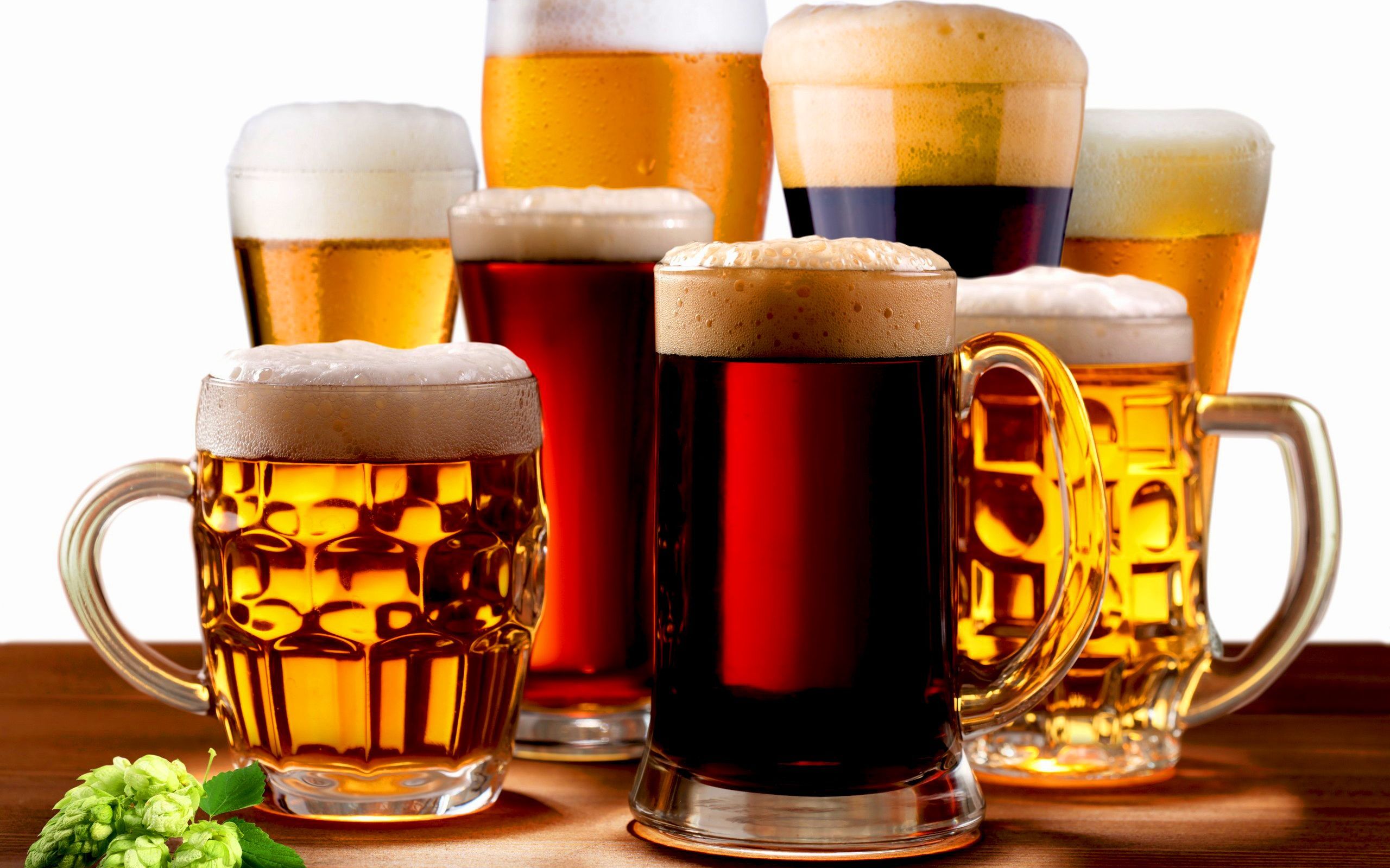 beer, food download for free