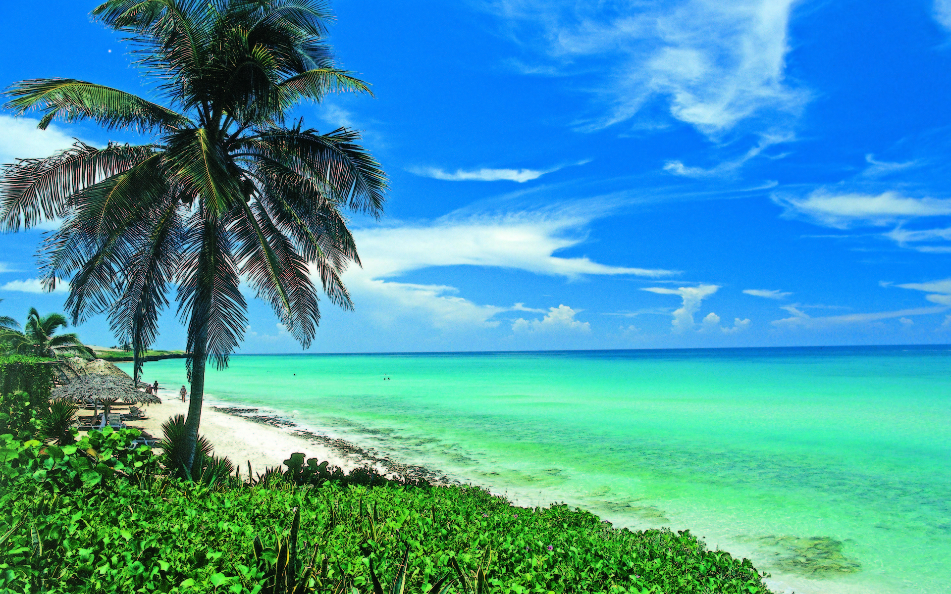 photography, beach, cuba, earth, horizon, ocean, palm tree, sea, turquoise 8K