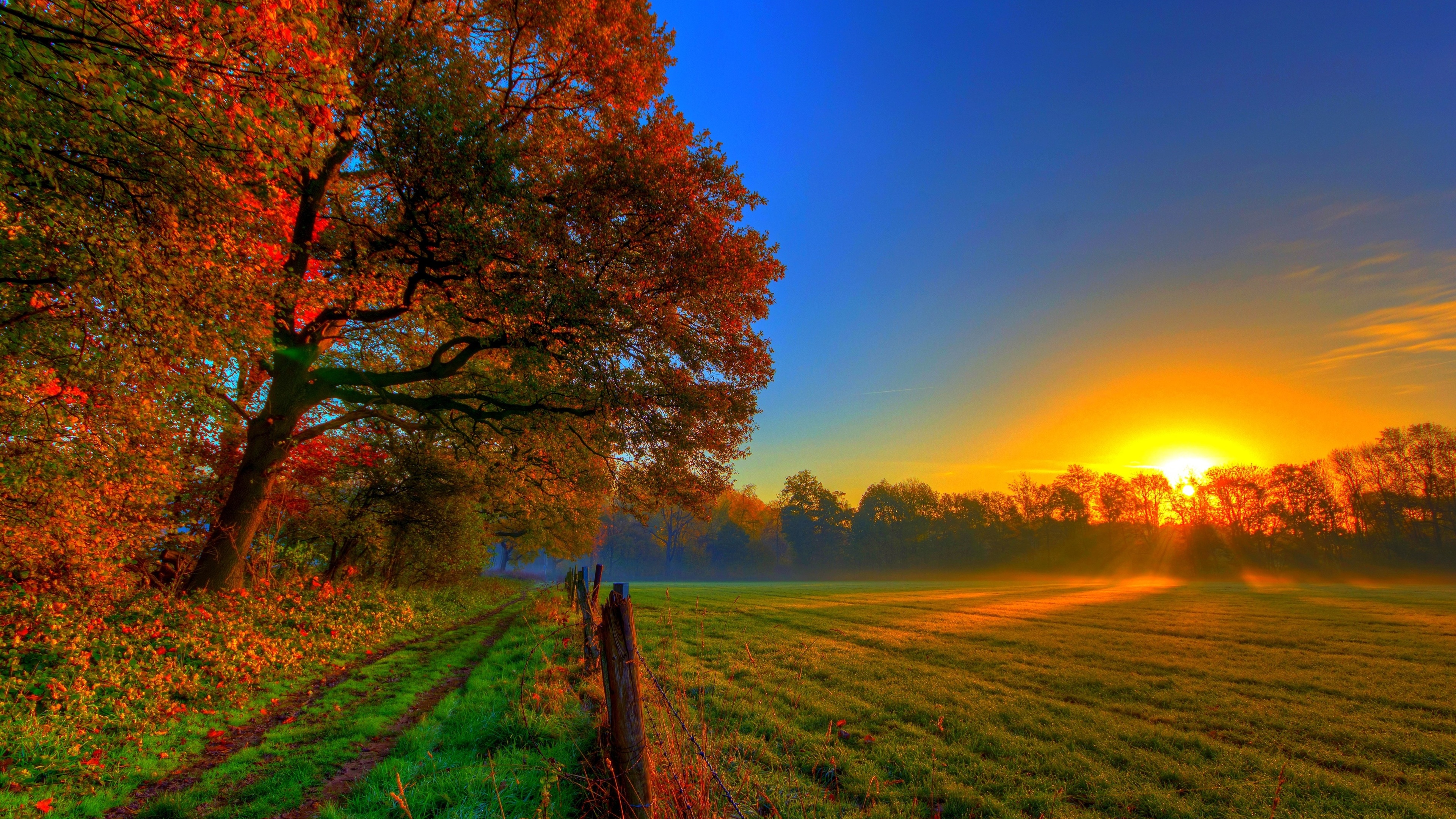 sunset, sky, earth, field, fall