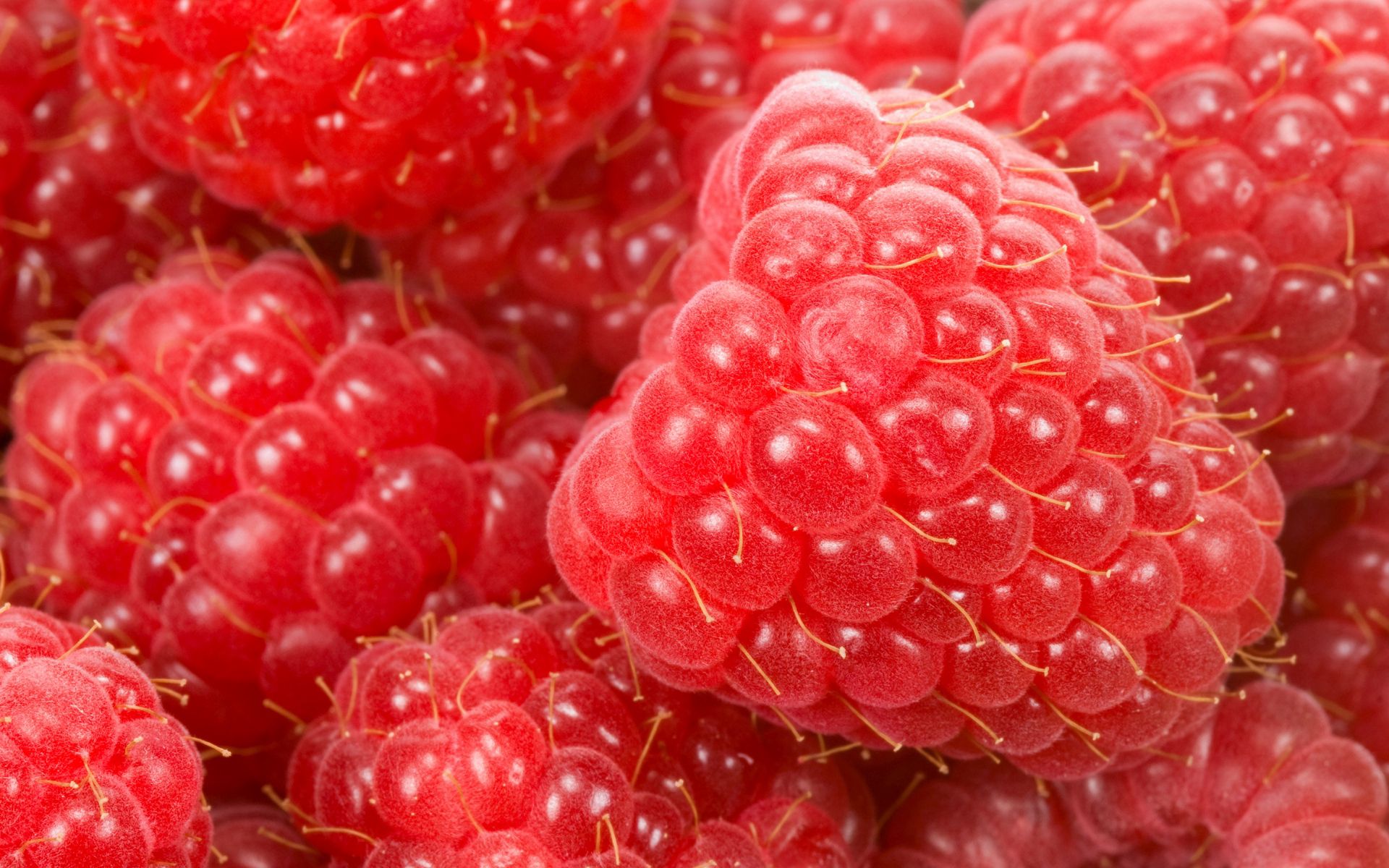 food, raspberry, berry Hd 1080p Mobile