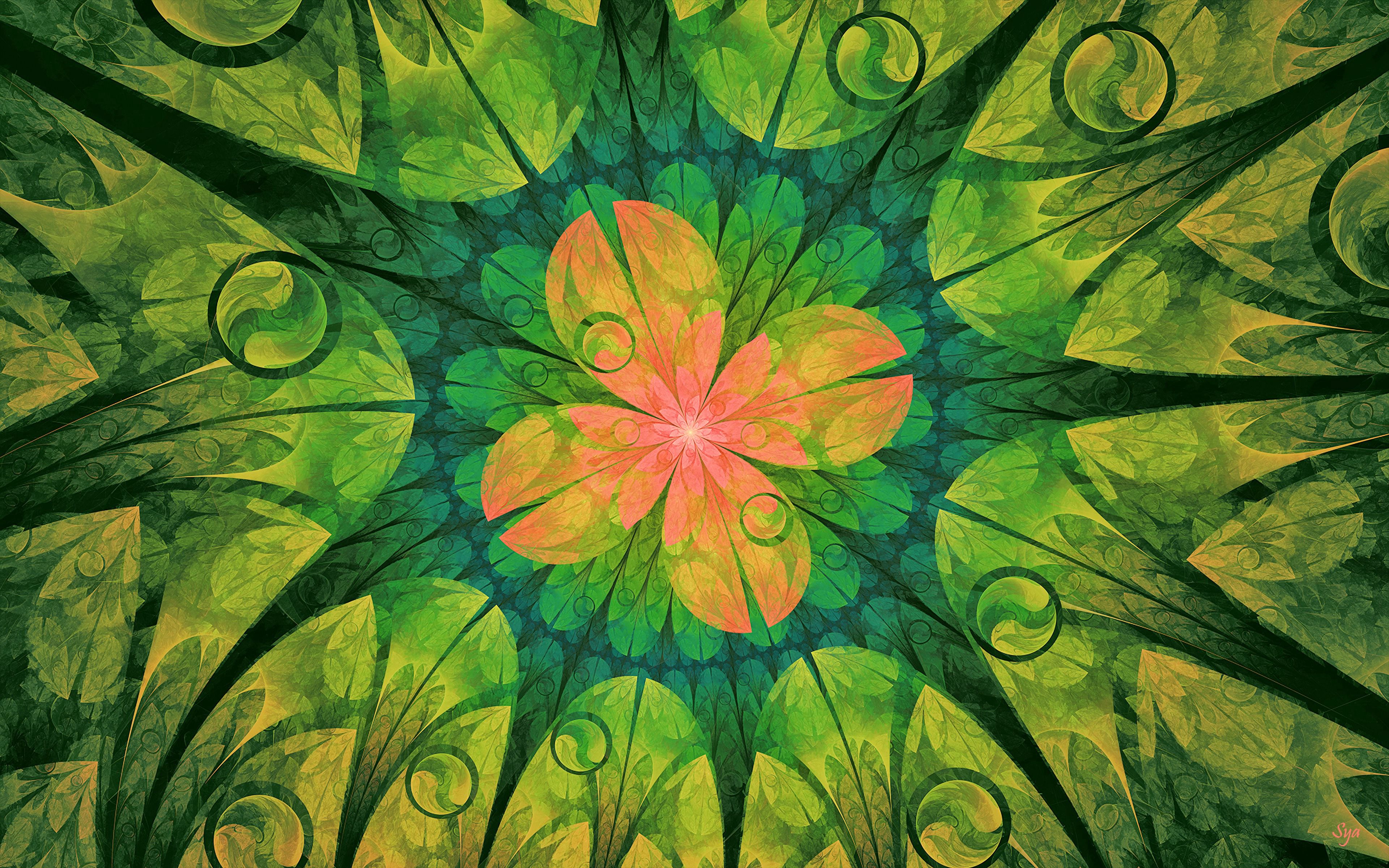 flower, abstract, pattern, fractal, digital phone background