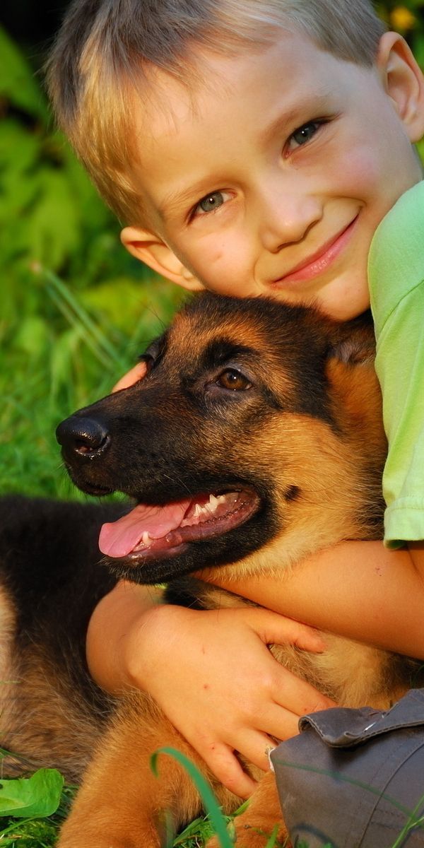Собака хочет мальчика. Мальчик с собакой. Немецкая овчарка мальчик. Собака для детей. Овчарка и ребенок.
