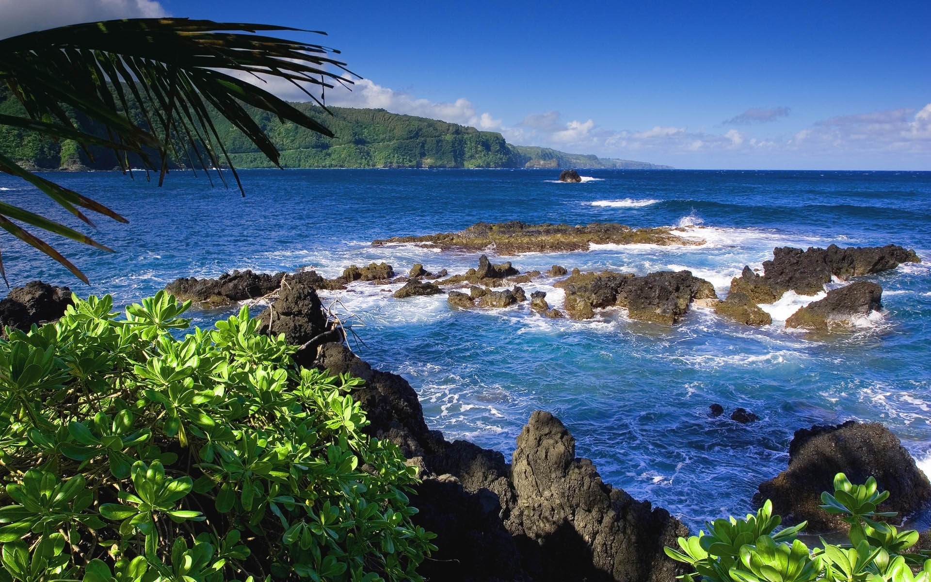 landscape, sea, blue Smartphone Background