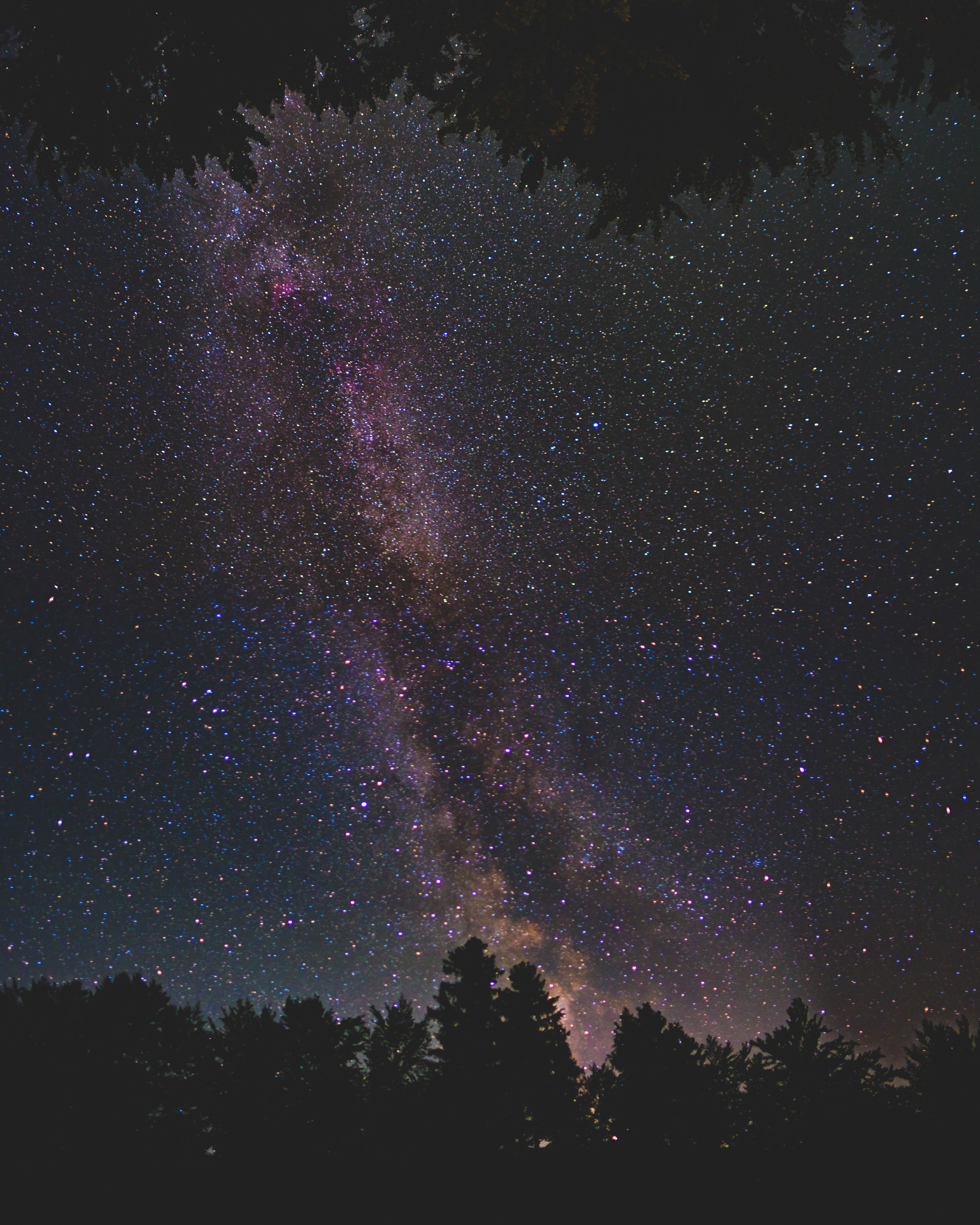 81025 Hintergrundbild herunterladen bäume, sterne, übernachtung, dunkel, scheinen, sternenhimmel, brillanz, die milchstrasse, milchstraße - Bildschirmschoner und Bilder kostenlos