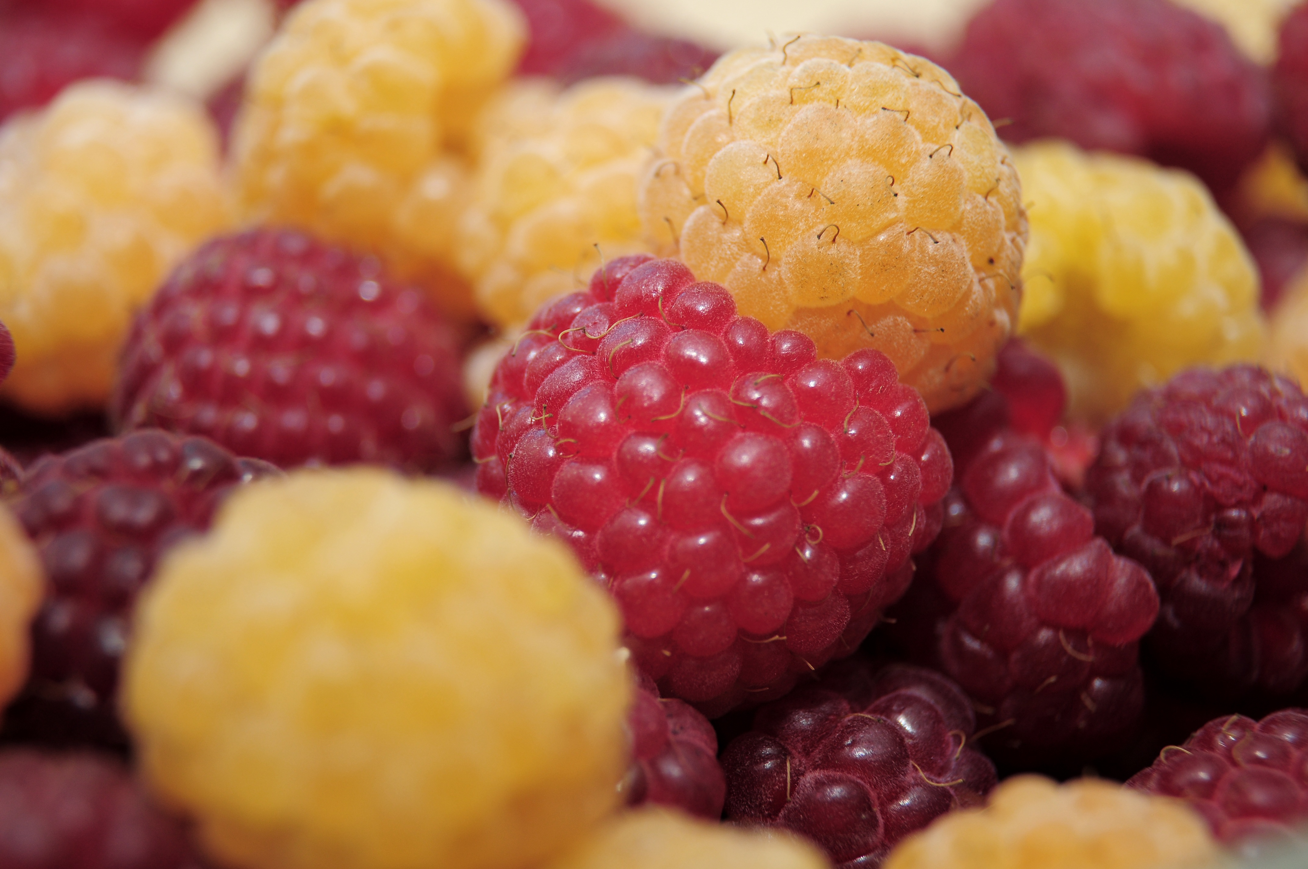 iPhone background macro, berries, ripe, raspberry