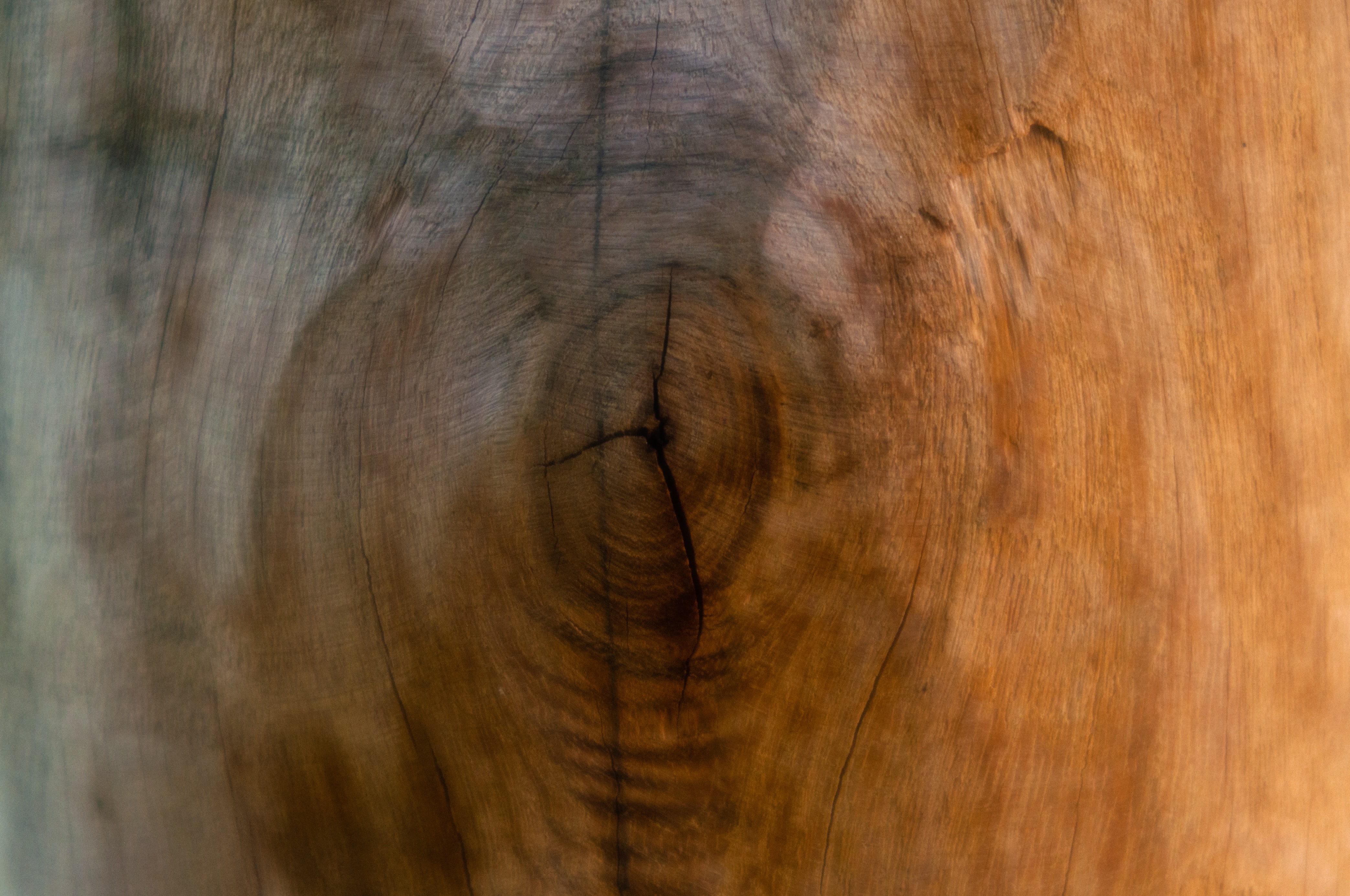 tree, wood, textures, texture Lock Screen Images