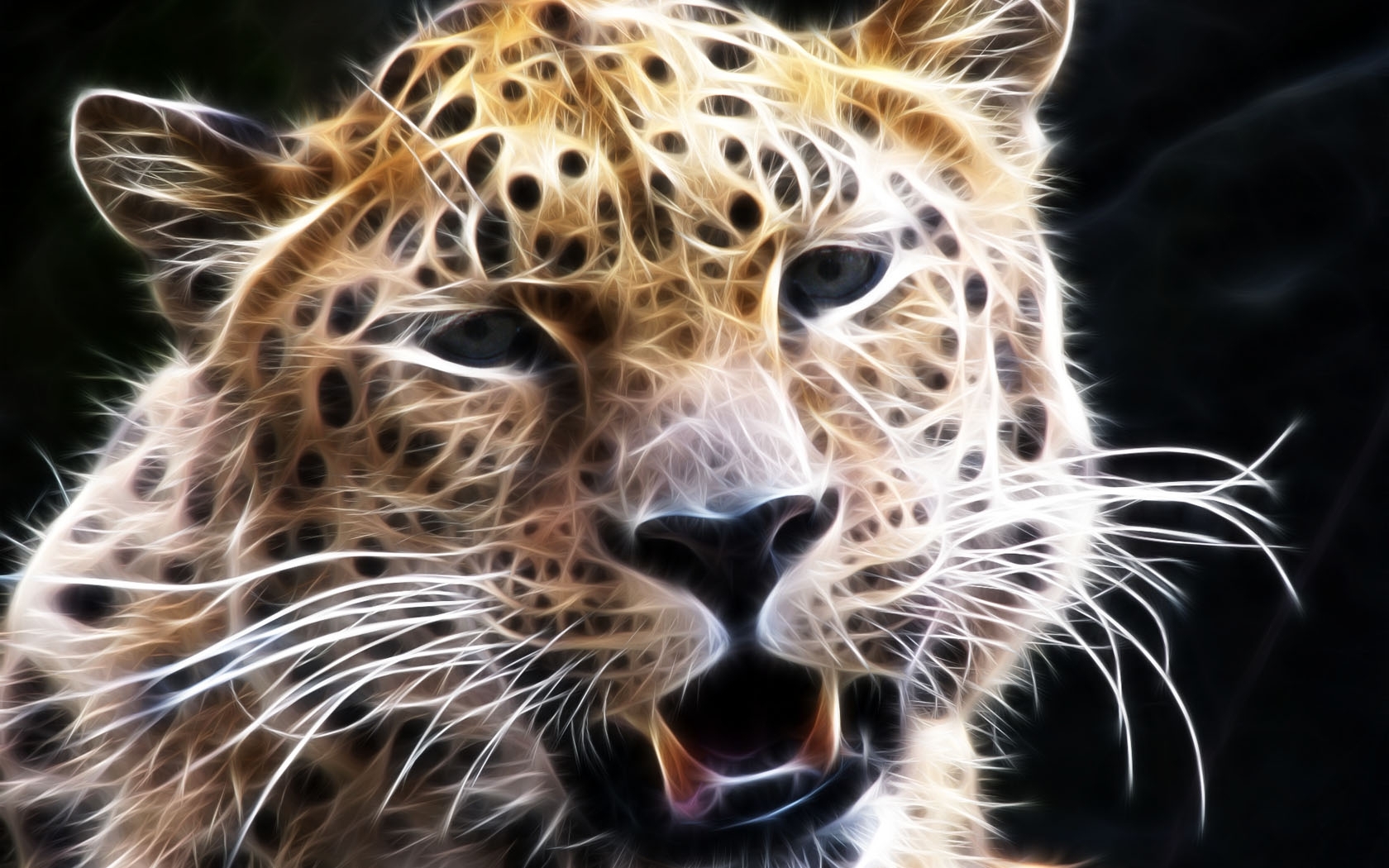 7414 下載圖片 动物, 豹子 - 免費壁紙和屏保