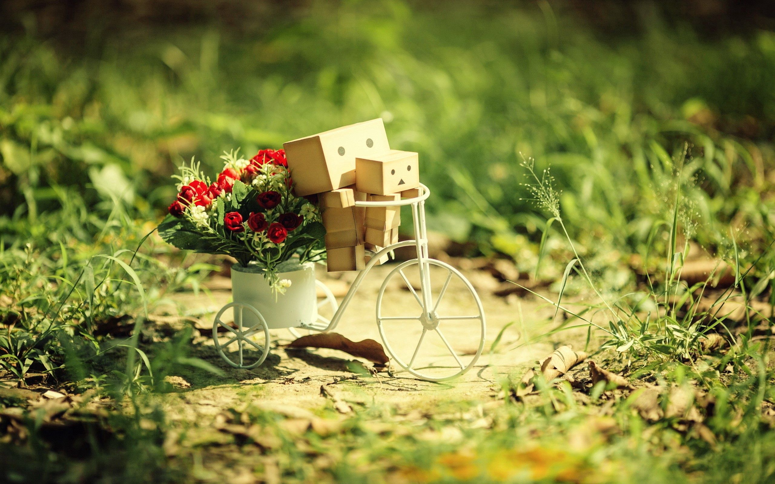 miscellaneous, flowers, grass, miscellanea, bicycle, danboard, cardboard robots