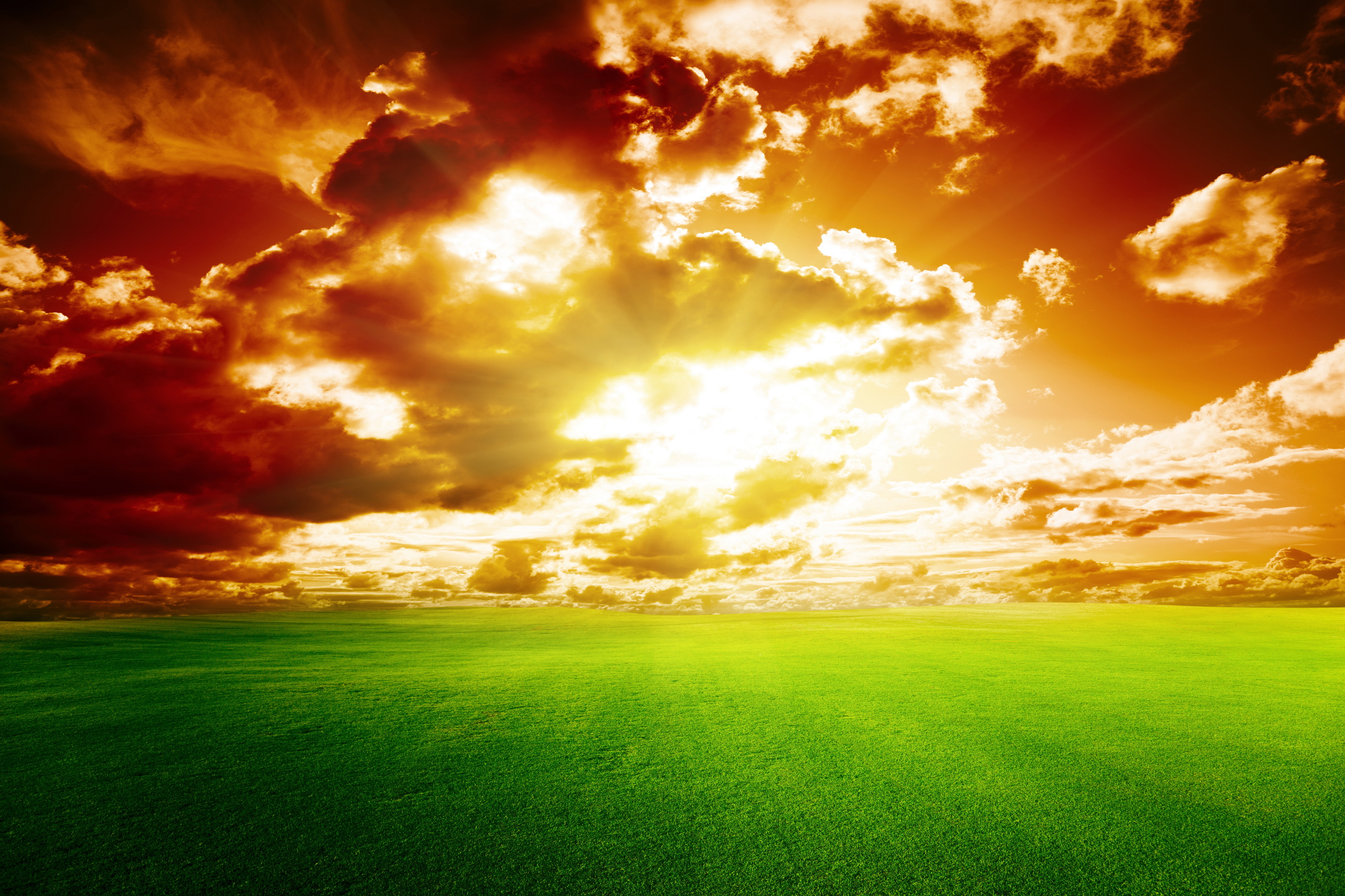 83377 Bild herunterladen feld, natur, sunset, sky, clouds, horizont - Hintergrundbilder und Bildschirmschoner kostenlos