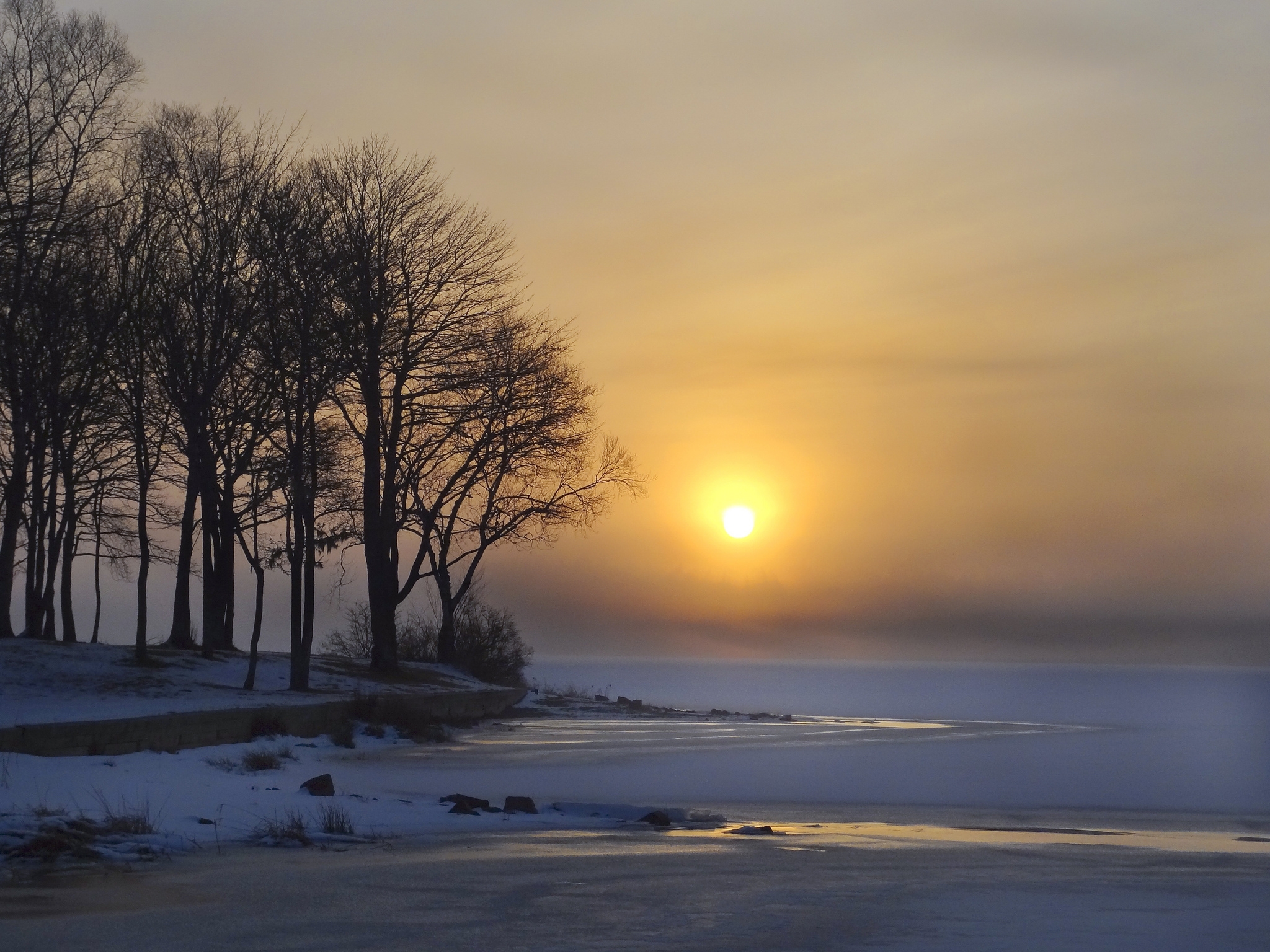 lake, ice, snow, winter, nature, trees, sun, dawn Phone Background