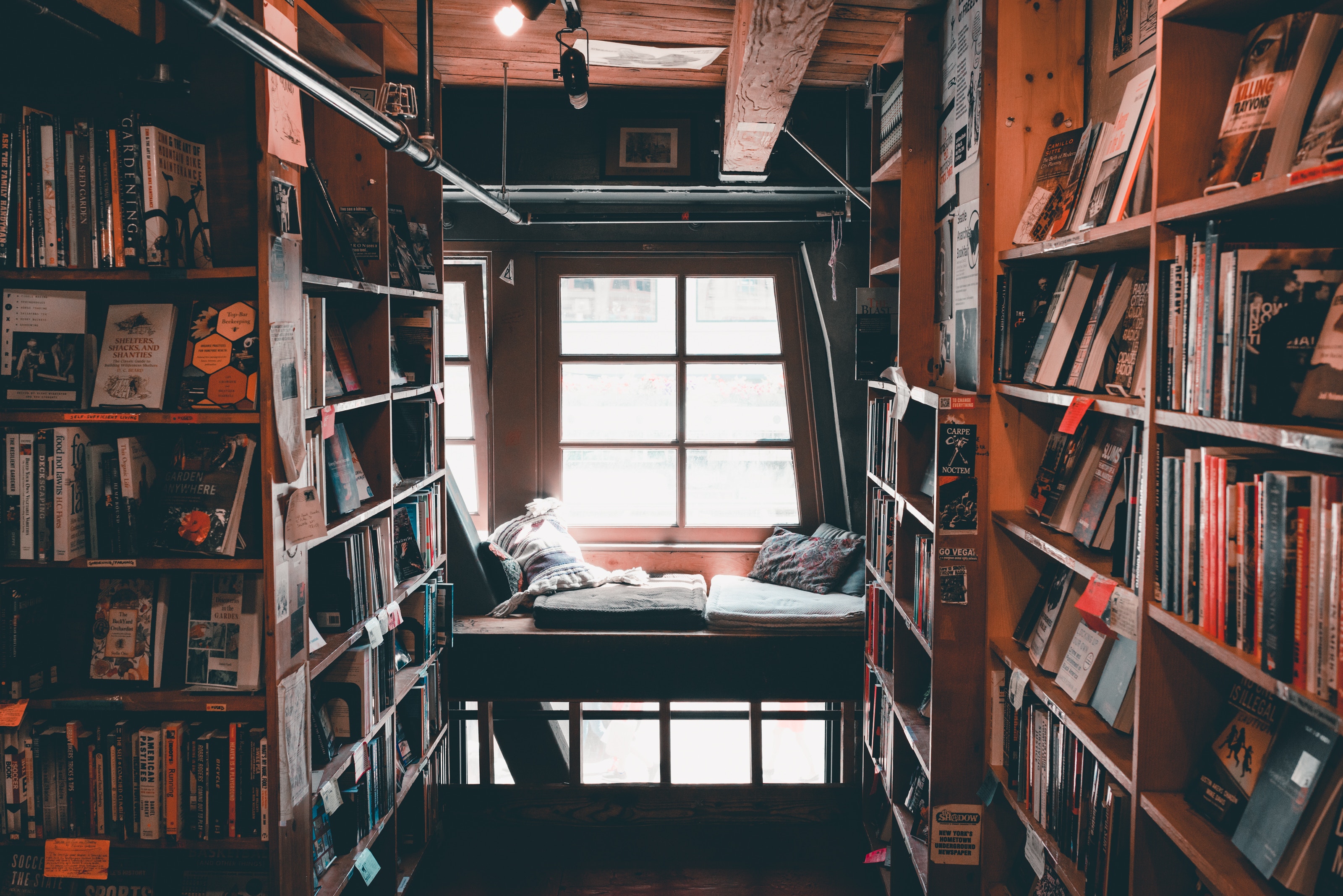 Free HD comfort, library, books, miscellanea, miscellaneous, coziness, reading, shelves