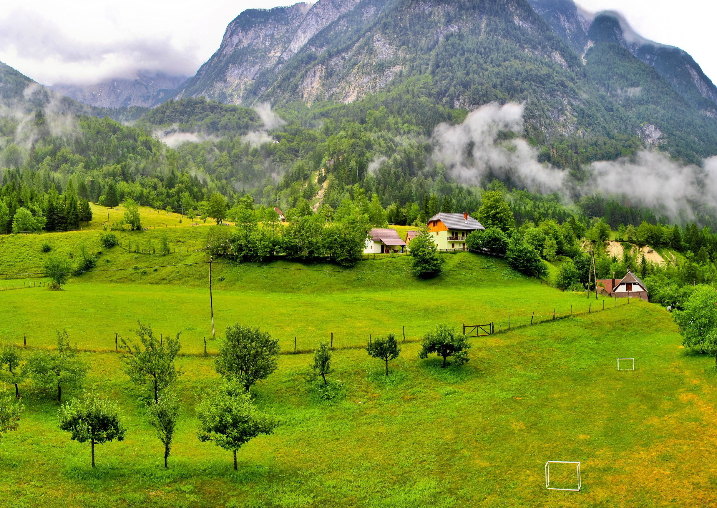 118011 Hintergrundbilder und Slowenien Bilder auf dem Desktop. Laden Sie wald, bäume, natur, mountains Bildschirmschoner kostenlos auf den PC herunter