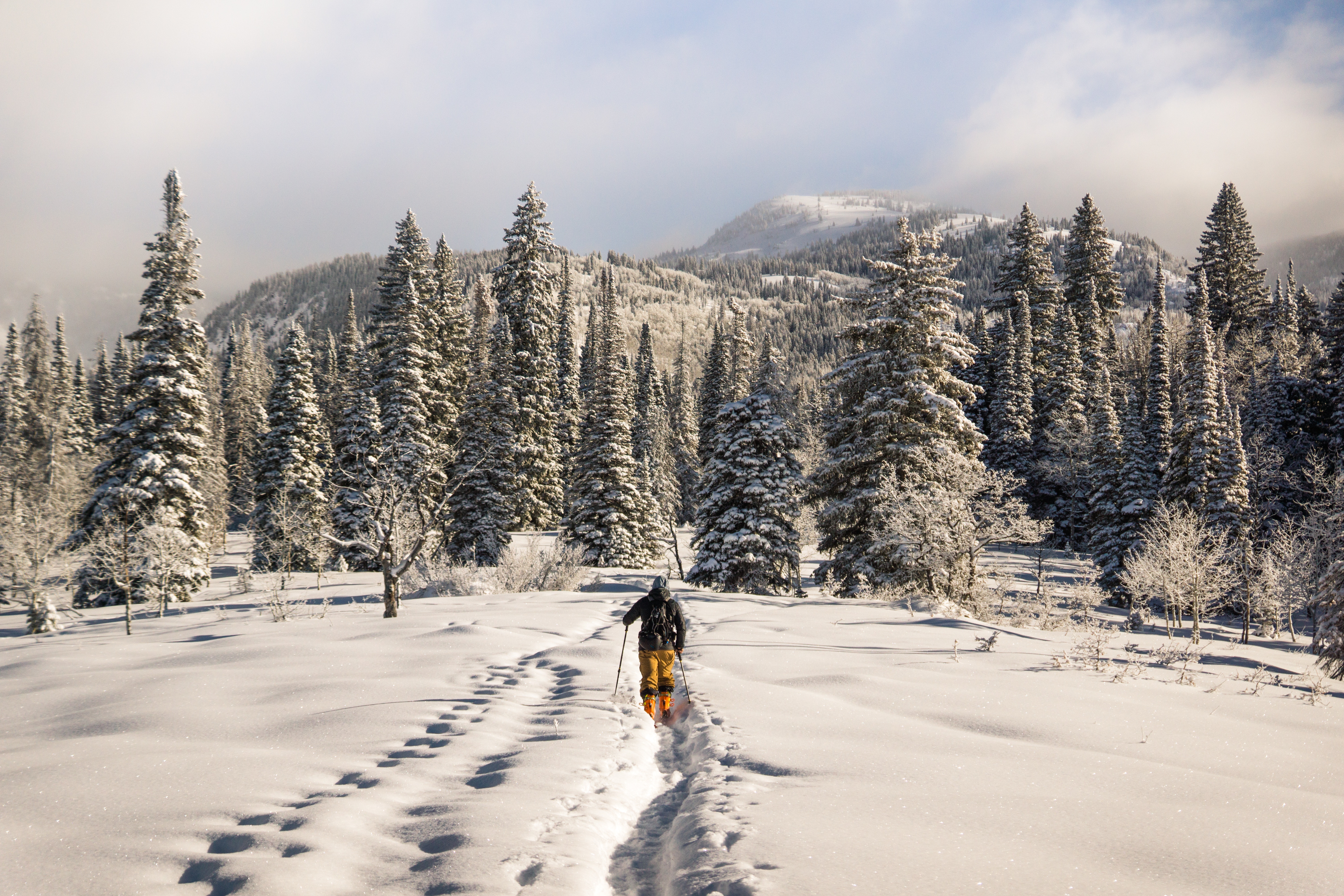103823 завантажити шпалери гори, сніг, природа, лижник, зима - заставки і картинки безкоштовно