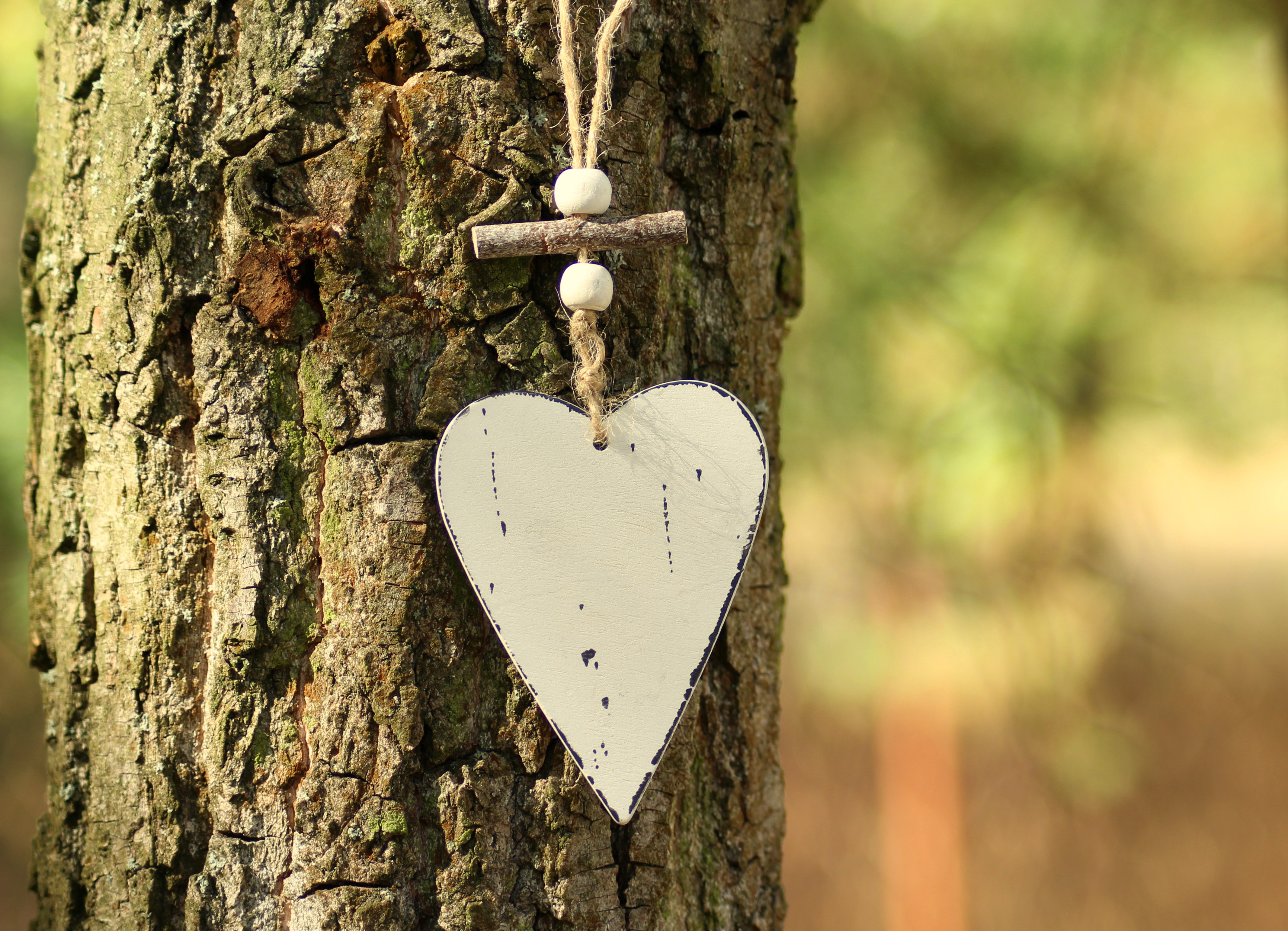 Laden Sie das Herzen, Liebe, Holz, Baum, Ein Herz, Borke, Bellen-Bild kostenlos auf Ihren PC-Desktop herunter