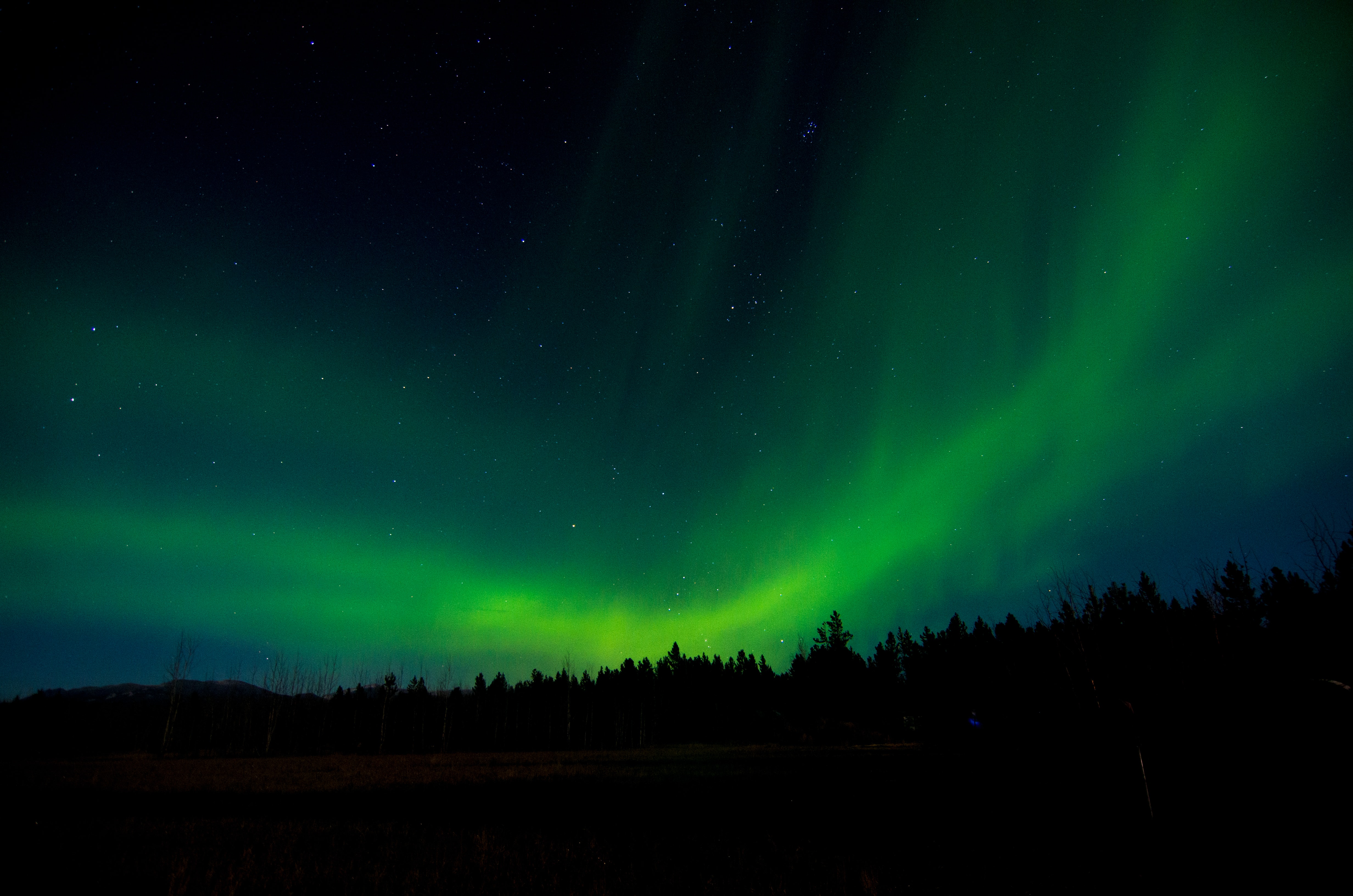 104609 Bild herunterladen übernachtung, natur, bäume, sky, nordlichter, aurora borealis - Hintergrundbilder und Bildschirmschoner kostenlos