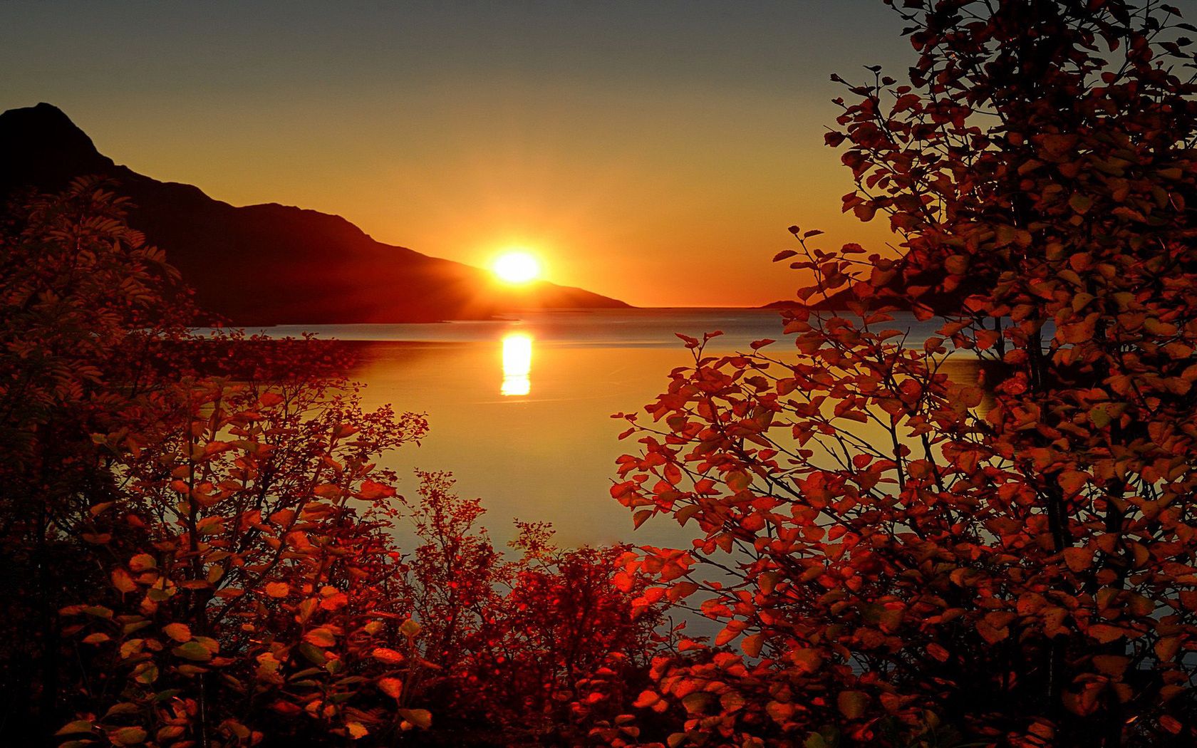 Laden Sie das Herbst, Sunset, Natur, Blätter, Berg, Geäst, Zweige-Bild kostenlos auf Ihren PC-Desktop herunter
