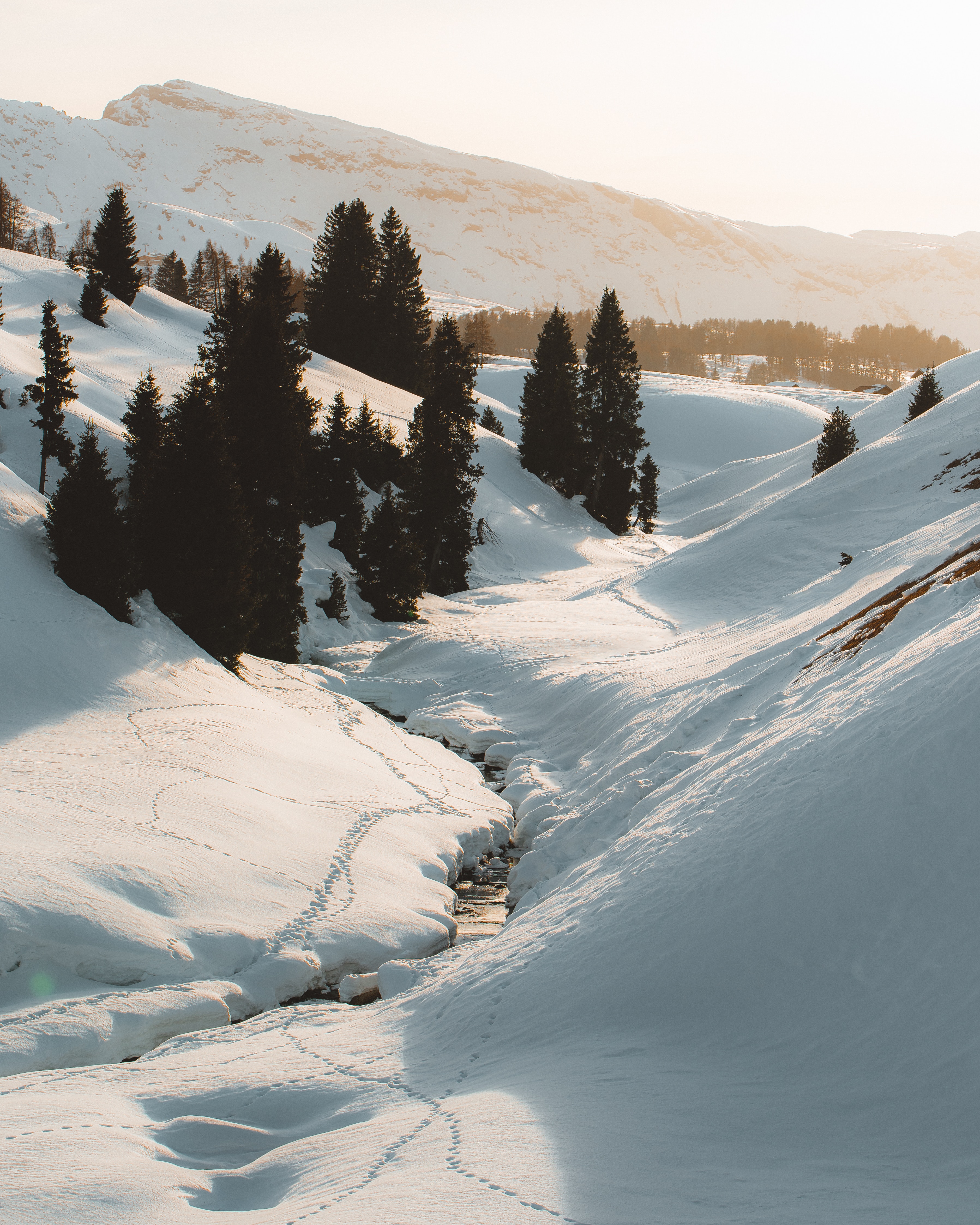 Laden Sie das Winter, Natur, Bäume, Mountains, Schnee, Bach, Brook-Bild kostenlos auf Ihren PC-Desktop herunter