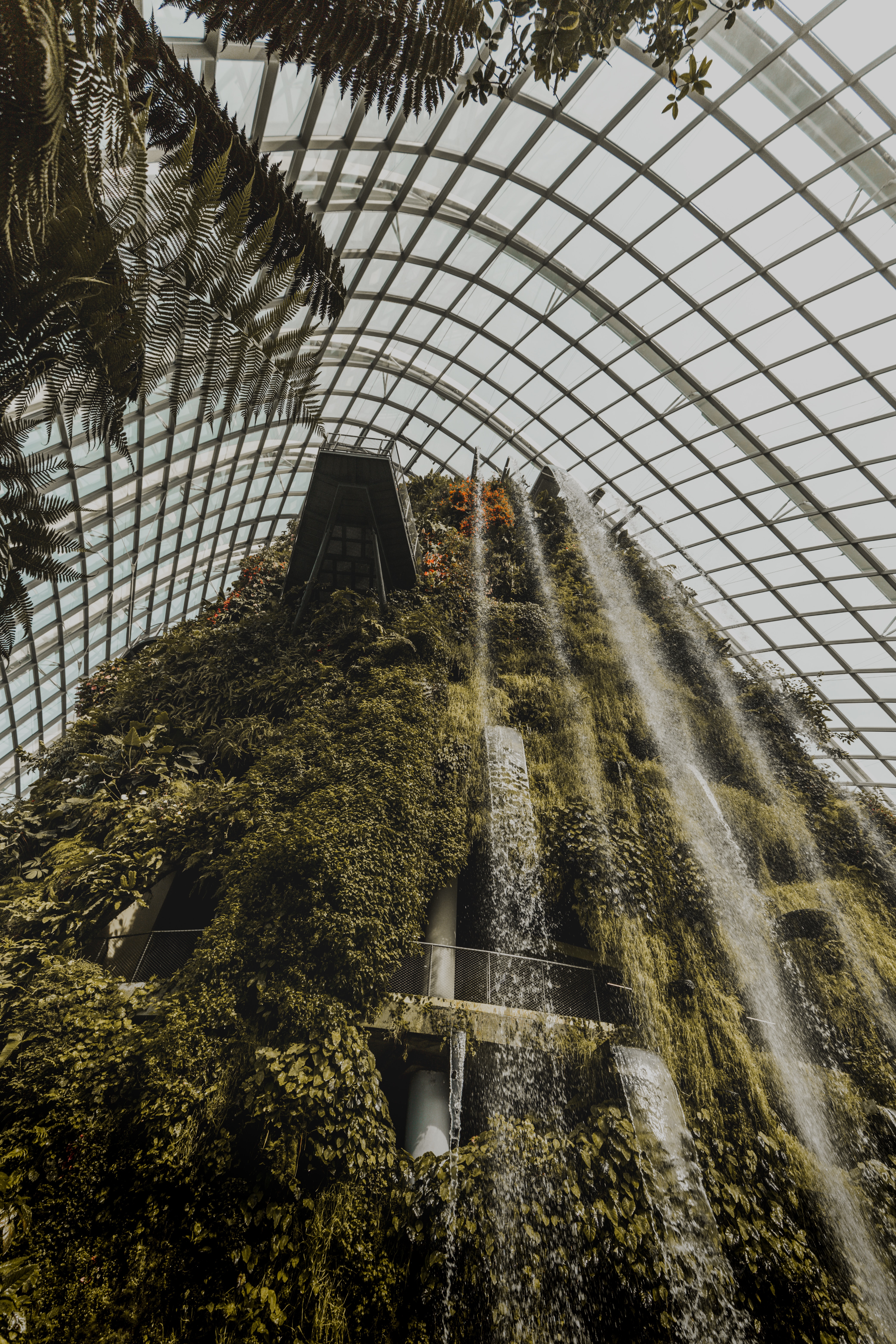 wallpapers miscellaneous, plants, miscellanea, waterfall, design, construction, greenhouse
