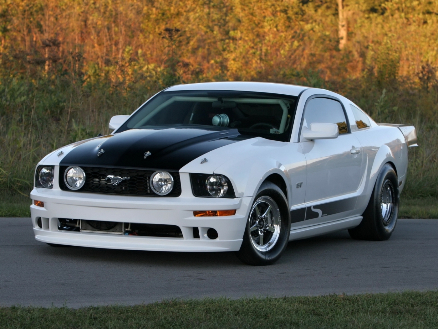 43895 download wallpaper mustang, transport, auto, ford screensavers and pictures for free