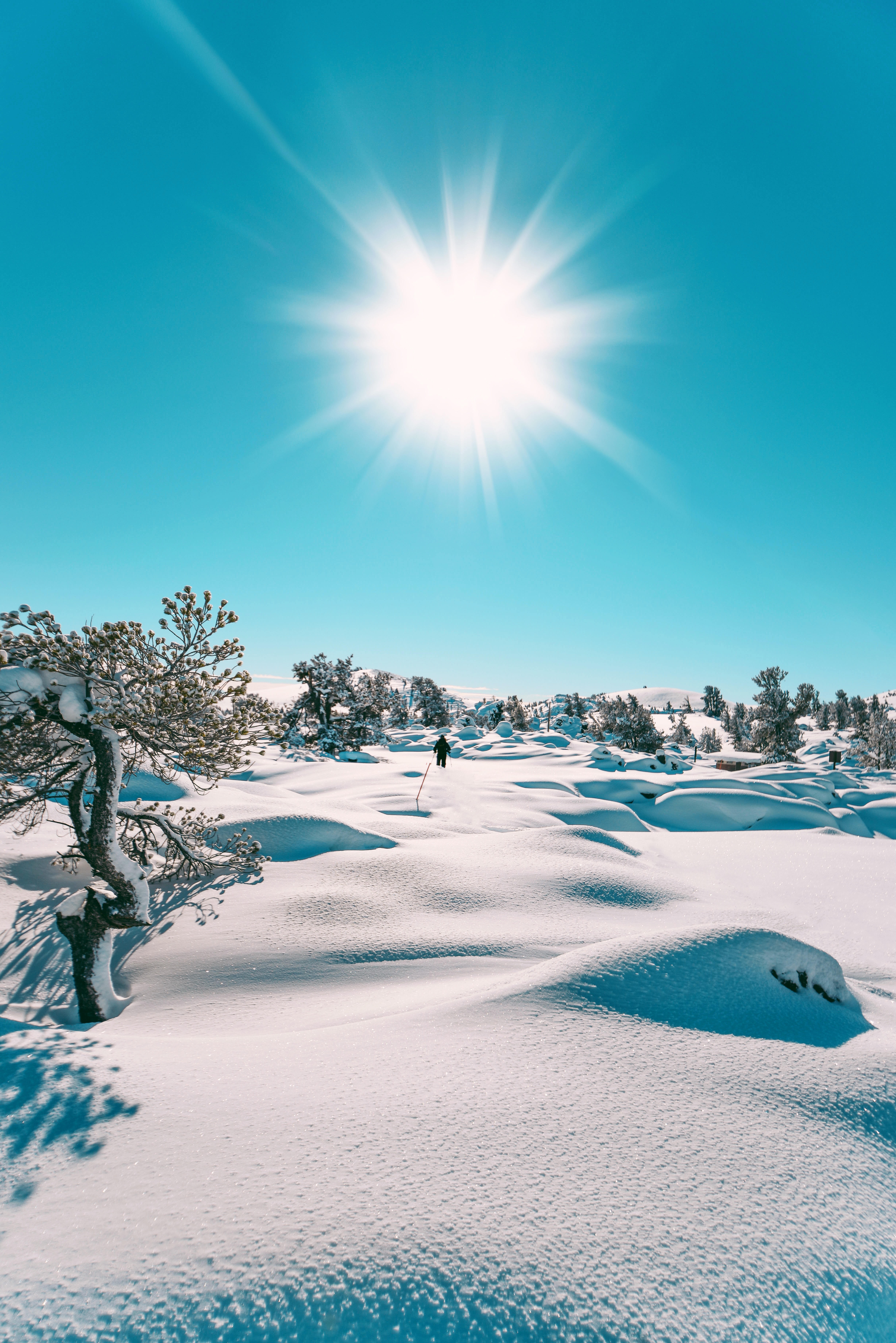 105615 télécharger le fond d'écran hiver, paysage, sun, nature, neige - économiseurs d'écran et images gratuitement