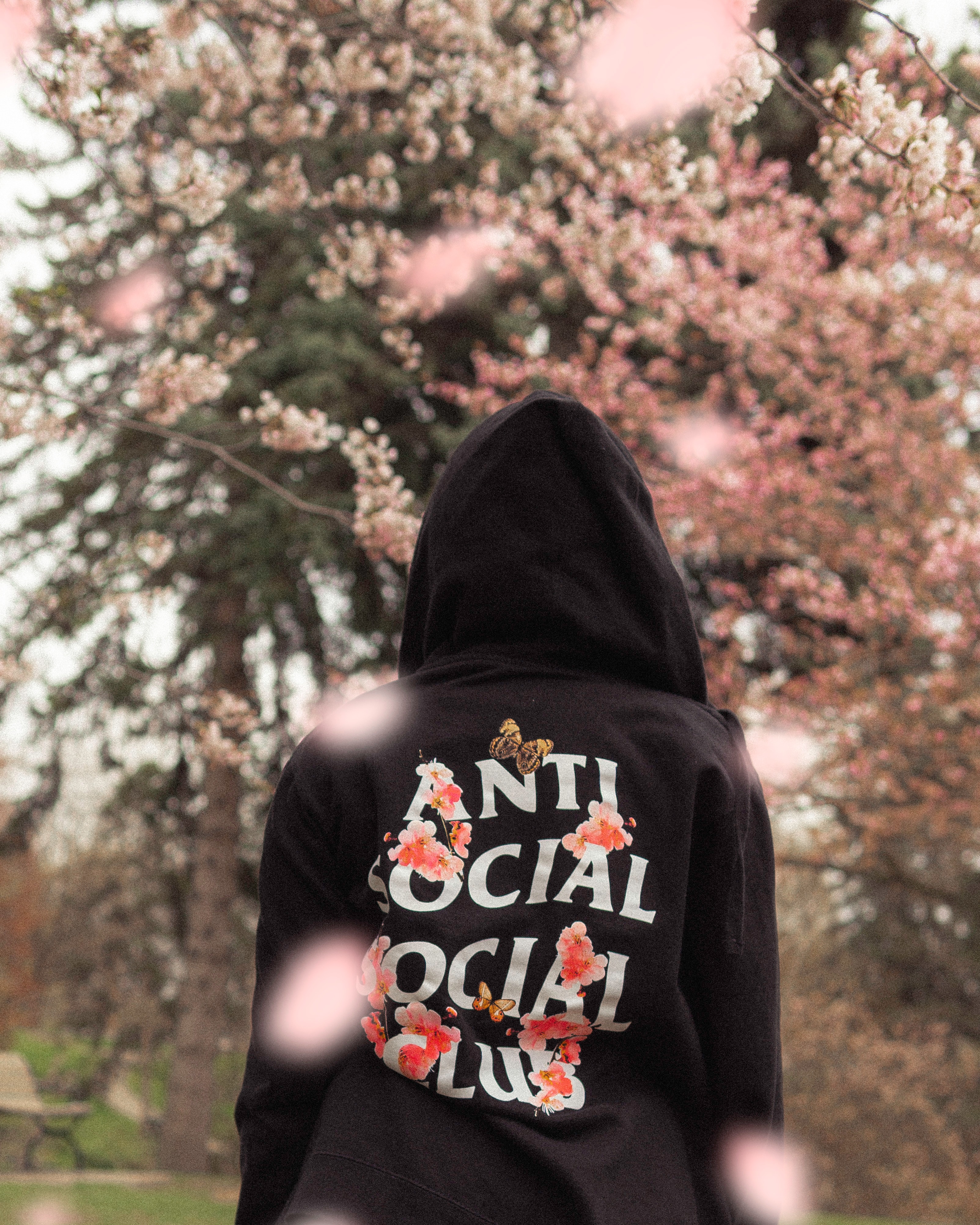 iPhone Wallpapers cherry blossom, inscription, hoodie, words Silhouette