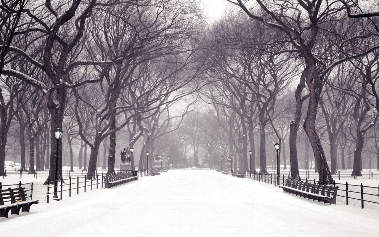 Download mobile wallpaper Winter, Park, Bench, Photography for free.