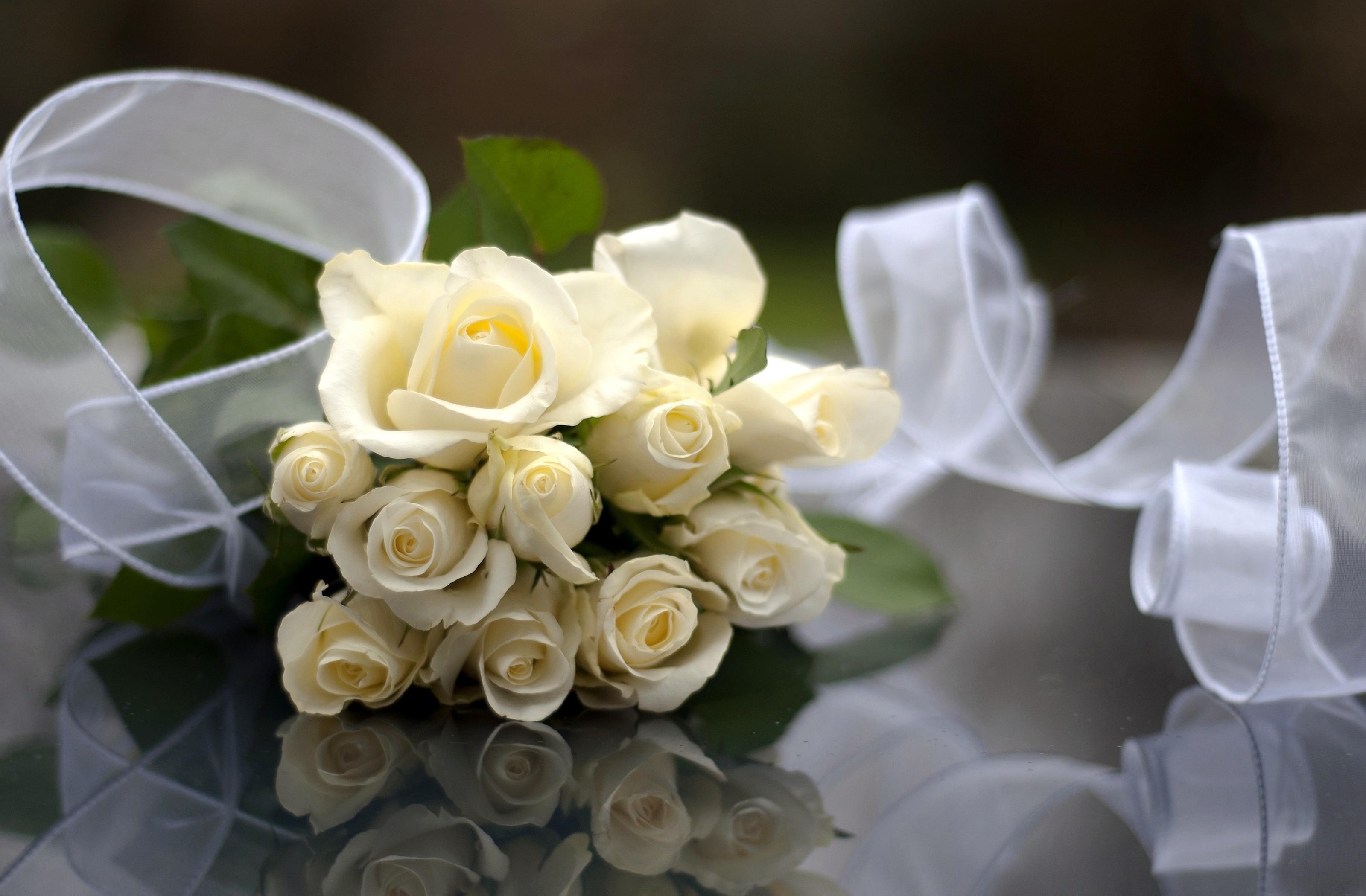 88458 Bildschirmschoner und Hintergrundbilder Bouquet auf Ihrem Telefon. Laden Sie blumen, roses, weiß, reflexion, strauß, bouquet, band, schneewittchen Bilder kostenlos herunter