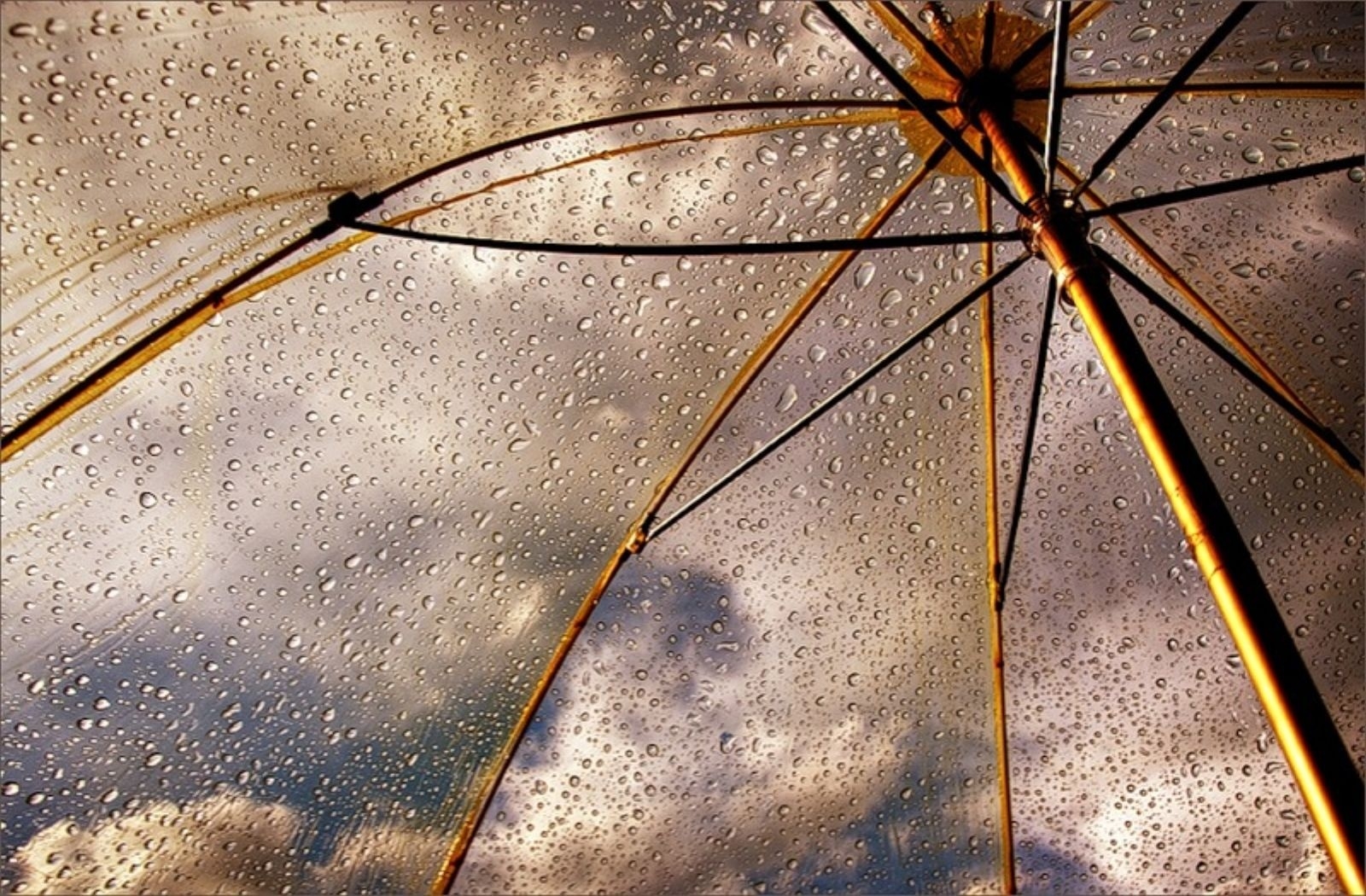 Smartphone Background rain, miscellanea, miscellaneous, umbrella