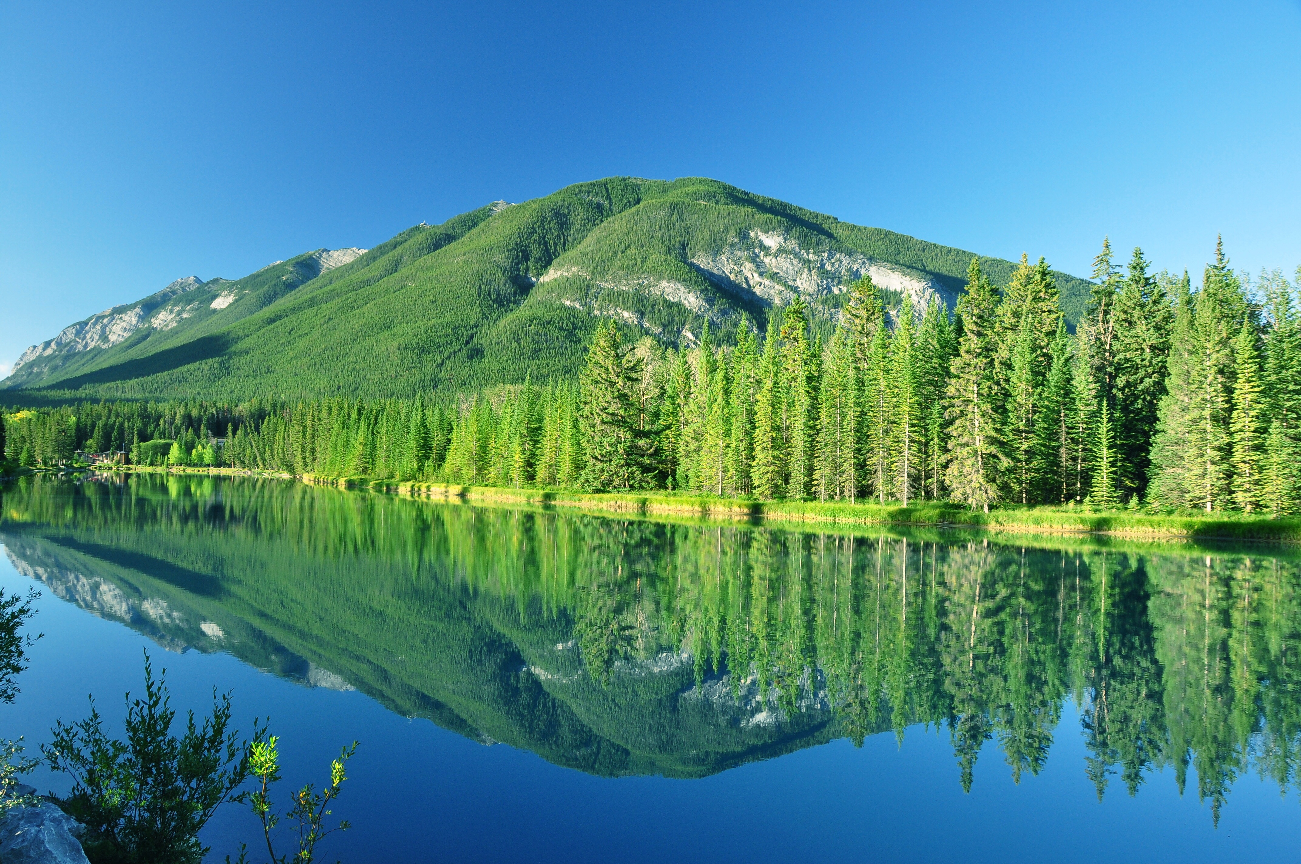 canada, earth, reflection, banff national park, forest, lake, landscape, mountain, tree