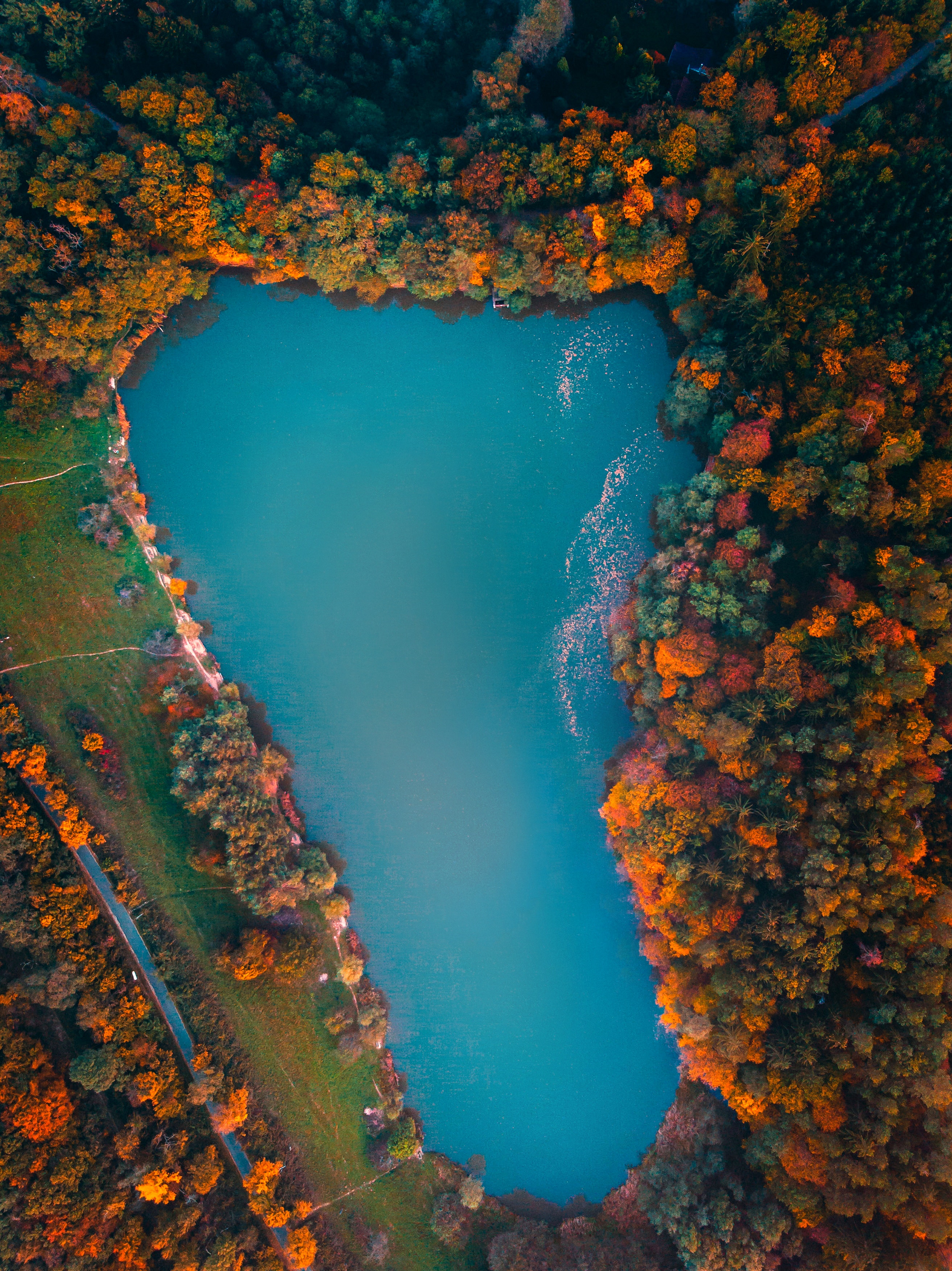 Handy-Wallpaper Natur, Bäume, Herbst, Blick Von Oben, See, Ungarn kostenlos herunterladen.
