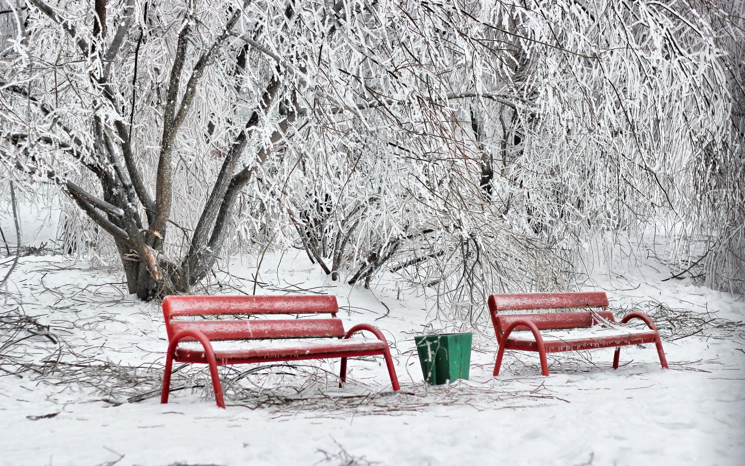 benches, winter, nature, snow, red, frost, hoarfrost, cold, urn UHD