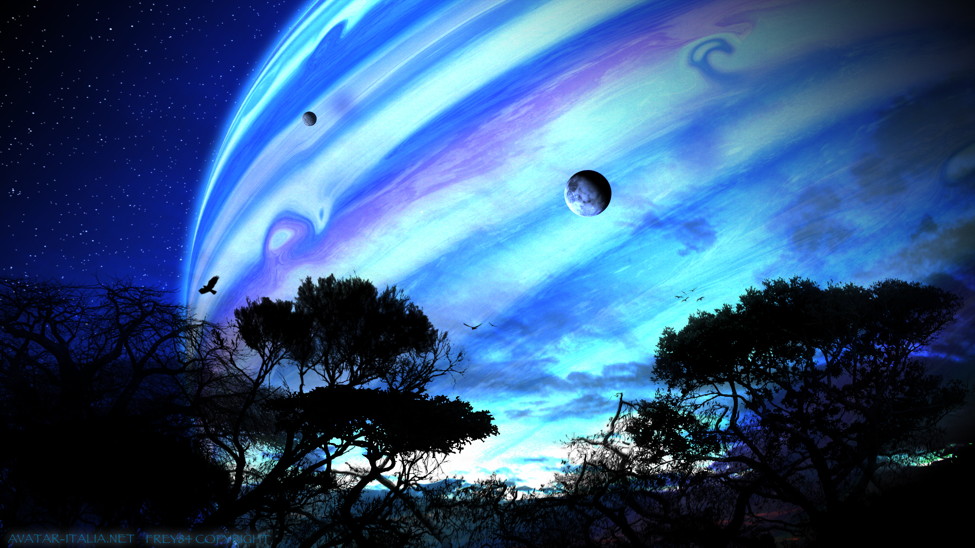 avatar, blue, movie, night, planet, sci fi, stars, tree Full HD