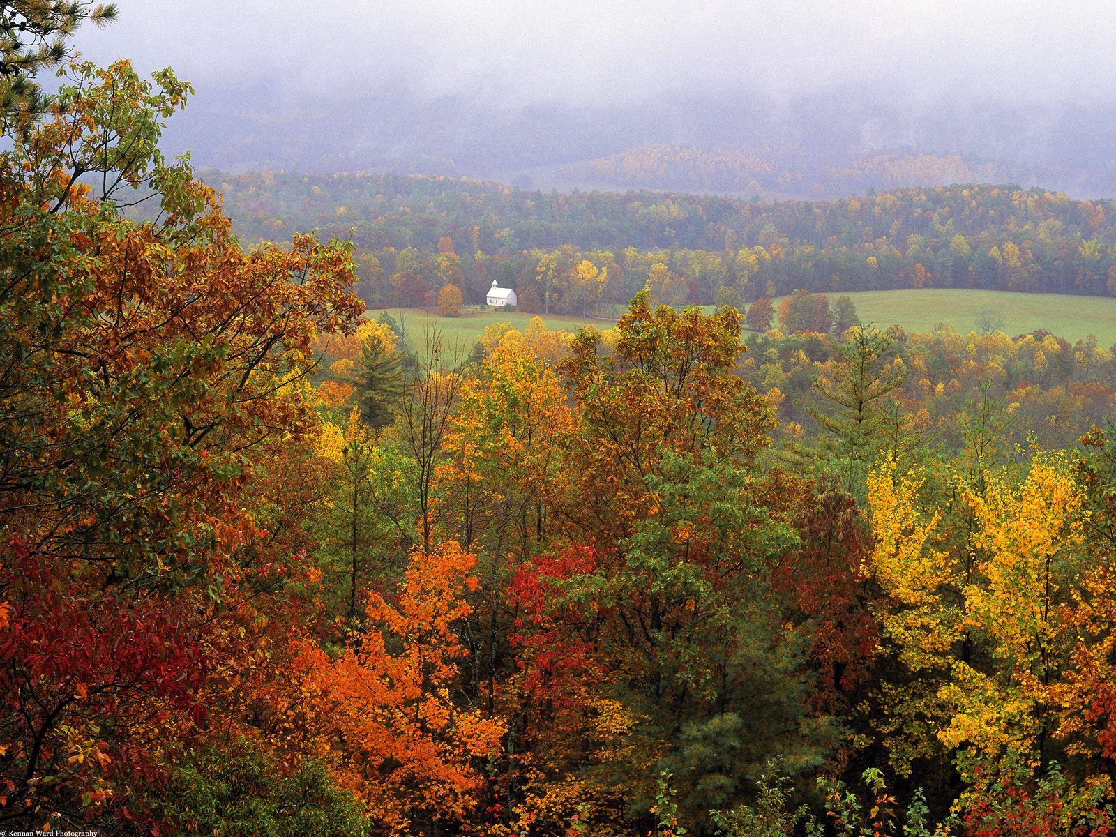 Laden Sie das Natur, Bäume, Grass, Herbst, Distanz, Dahl-Bild kostenlos auf Ihren PC-Desktop herunter
