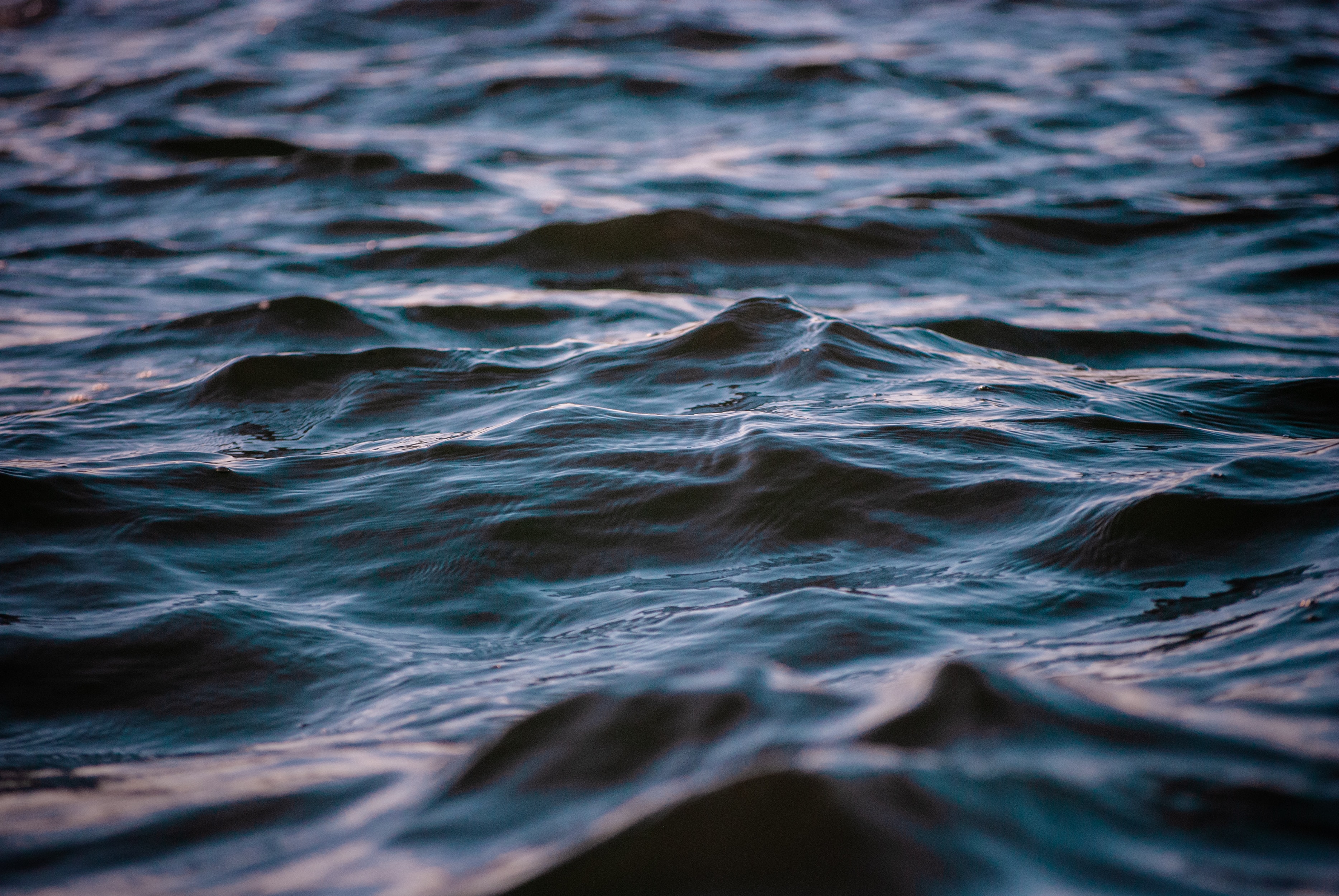 ripples, ripple, water, waves, sea, wavy, nature