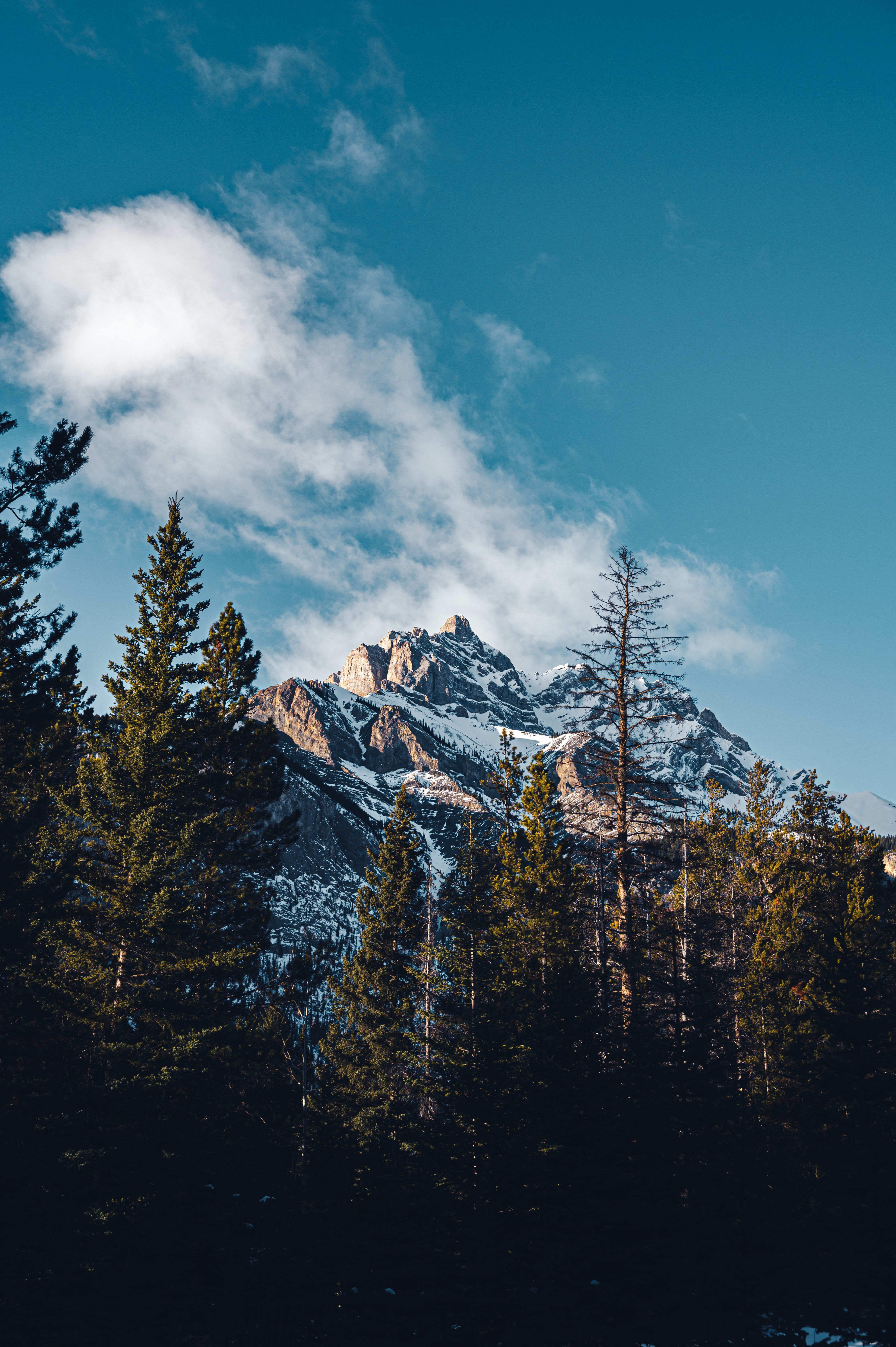 cloud, vertex, nature, trees, mountain, top for android
