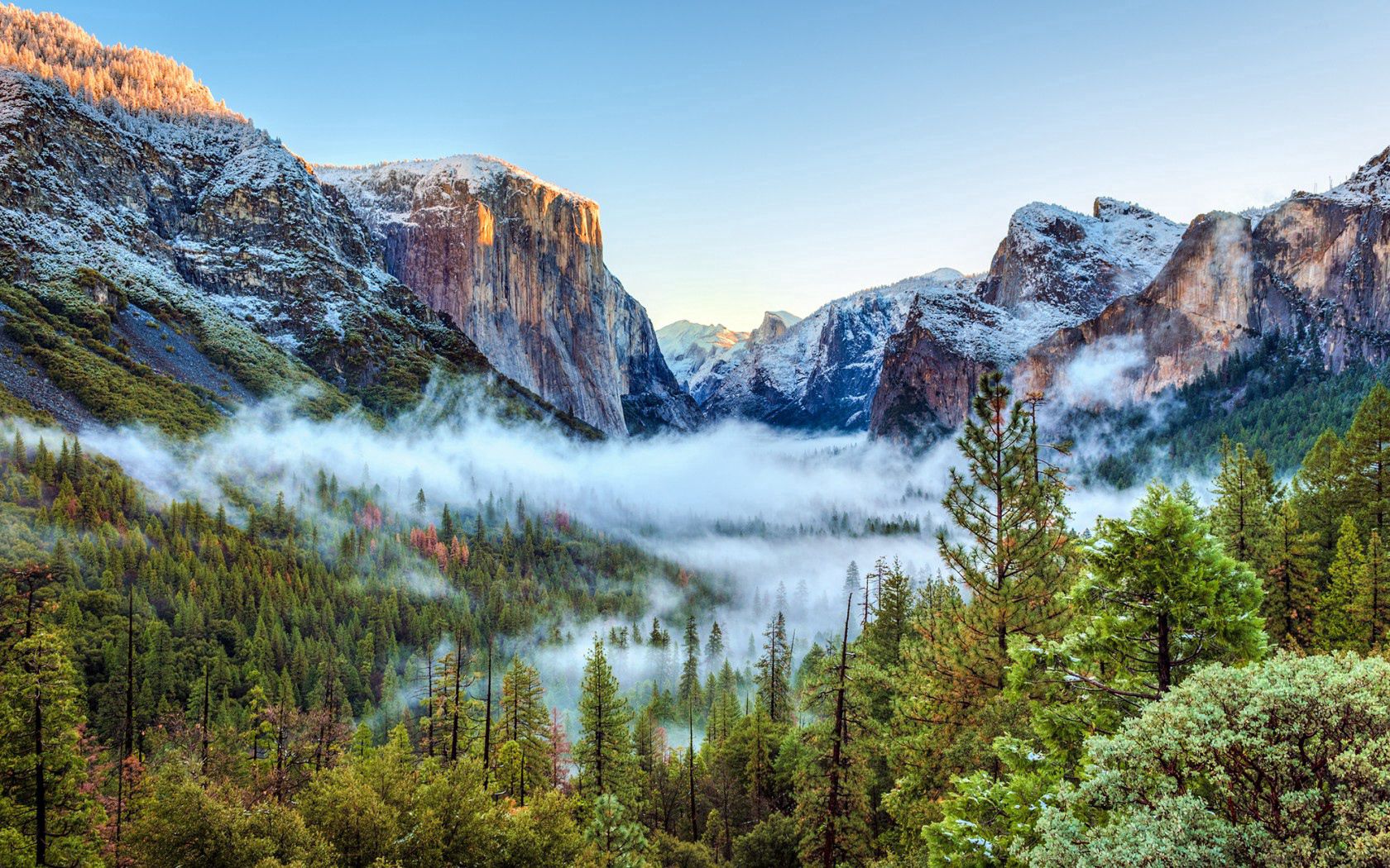 109163 Hintergrundbilder und Yosemite Nationalpark Bilder auf dem Desktop. Laden Sie natur, usa, bäume, nebel Bildschirmschoner kostenlos auf den PC herunter