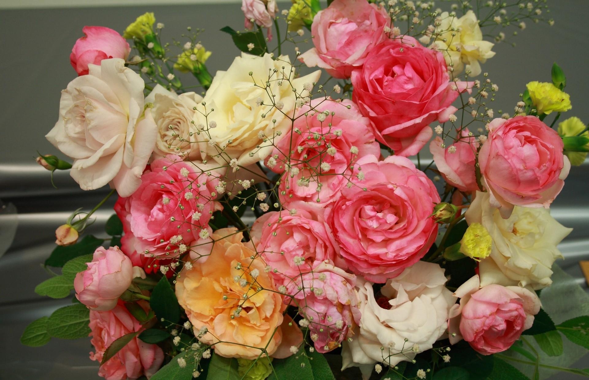 96341 Hintergrundbild herunterladen blumen, roses, strauß, bouquet, schleierkraut, gipsophile, garten - Bildschirmschoner und Bilder kostenlos