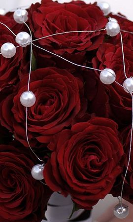 Заставки на телефон красивые розы вертикальные