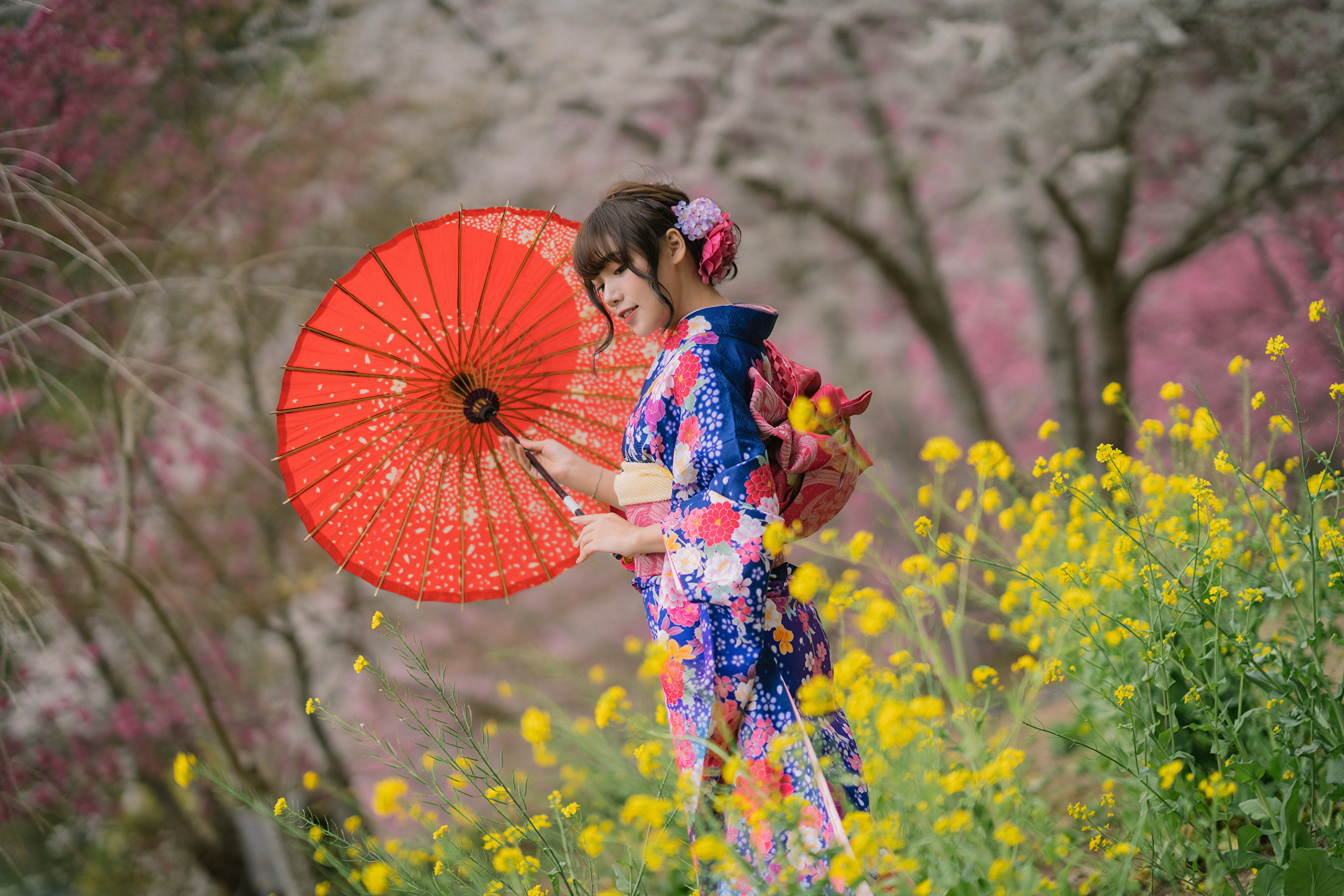 1039171 Salvapantallas y fondos de pantalla Paraguas en tu teléfono. Descarga imágenes de modelo, kimono, mujeres, asiática gratis