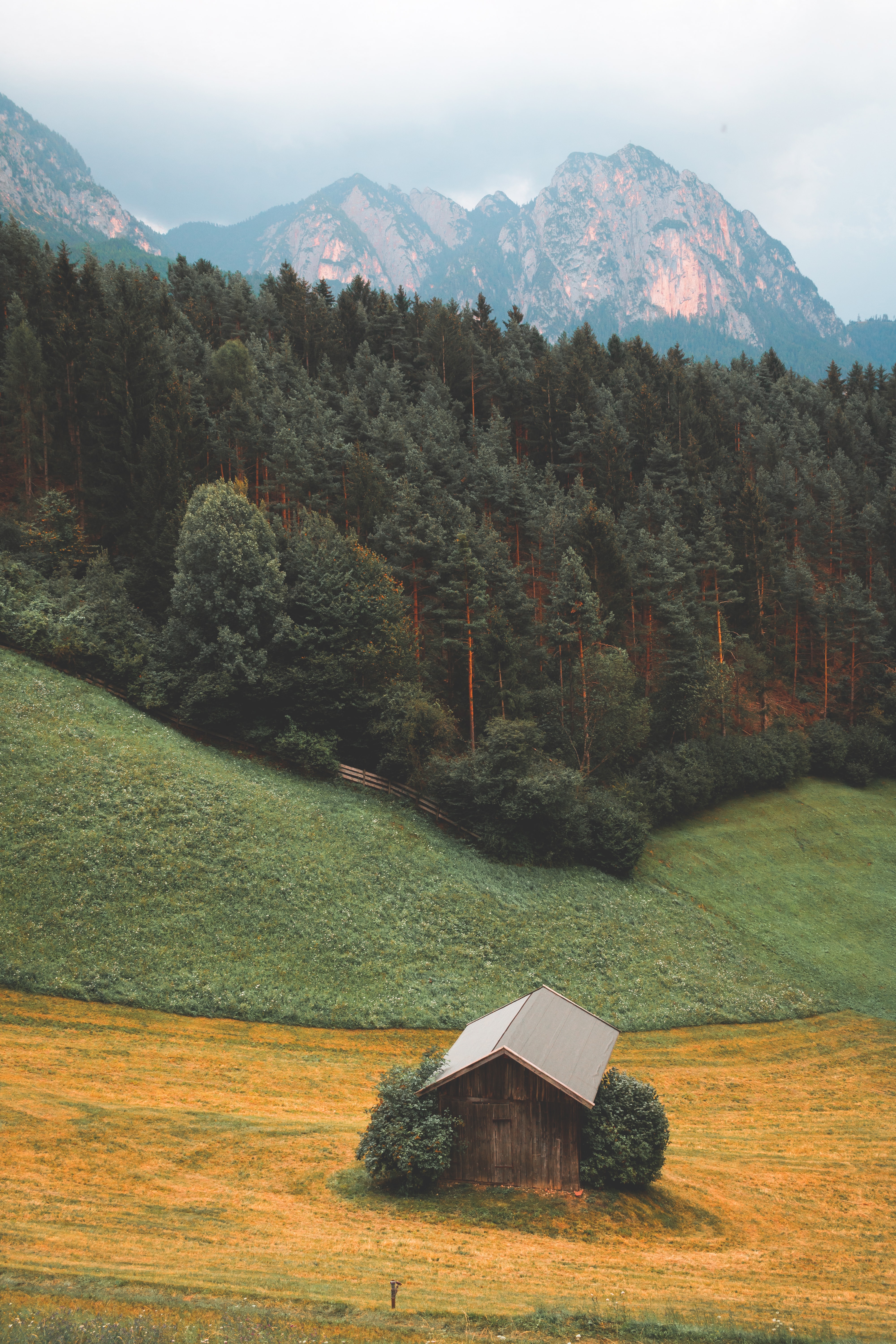 nature, forest, landscape, mountains home screen for smartphone