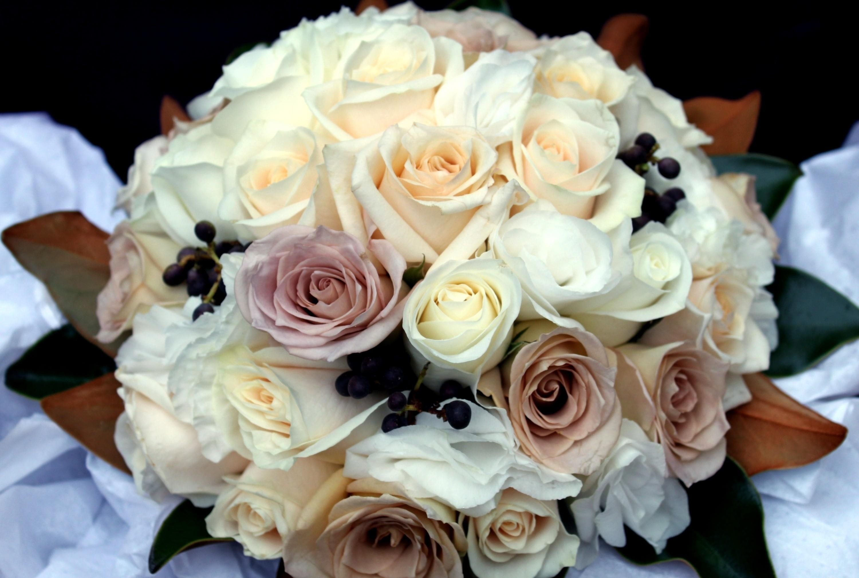Laden Sie das Blumen, Roses, Typografie, Anmeldung, Strauß, Bouquet, Hübsch, Es Ist Wunderschön-Bild kostenlos auf Ihren PC-Desktop herunter