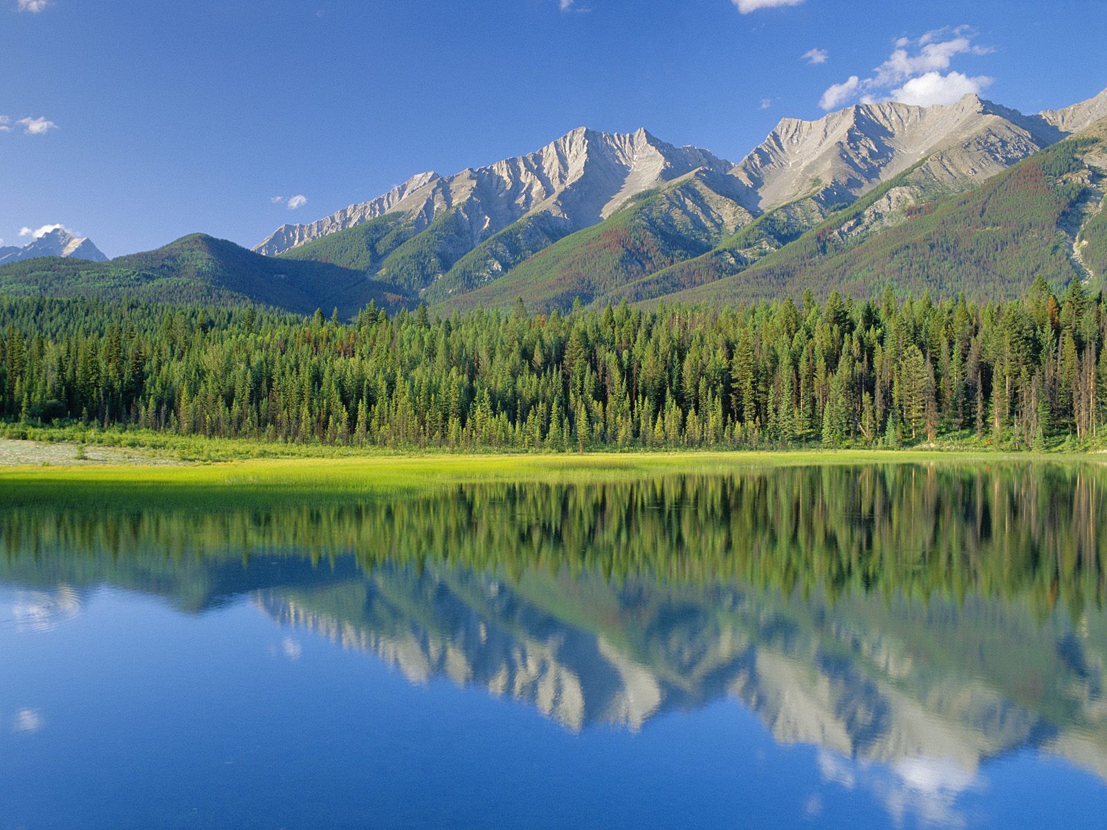90628 скачать обои озеро, национальный парк, горы, канада, dog lake, деревья, британская колумбия, природа - заставки и картинки бесплатно